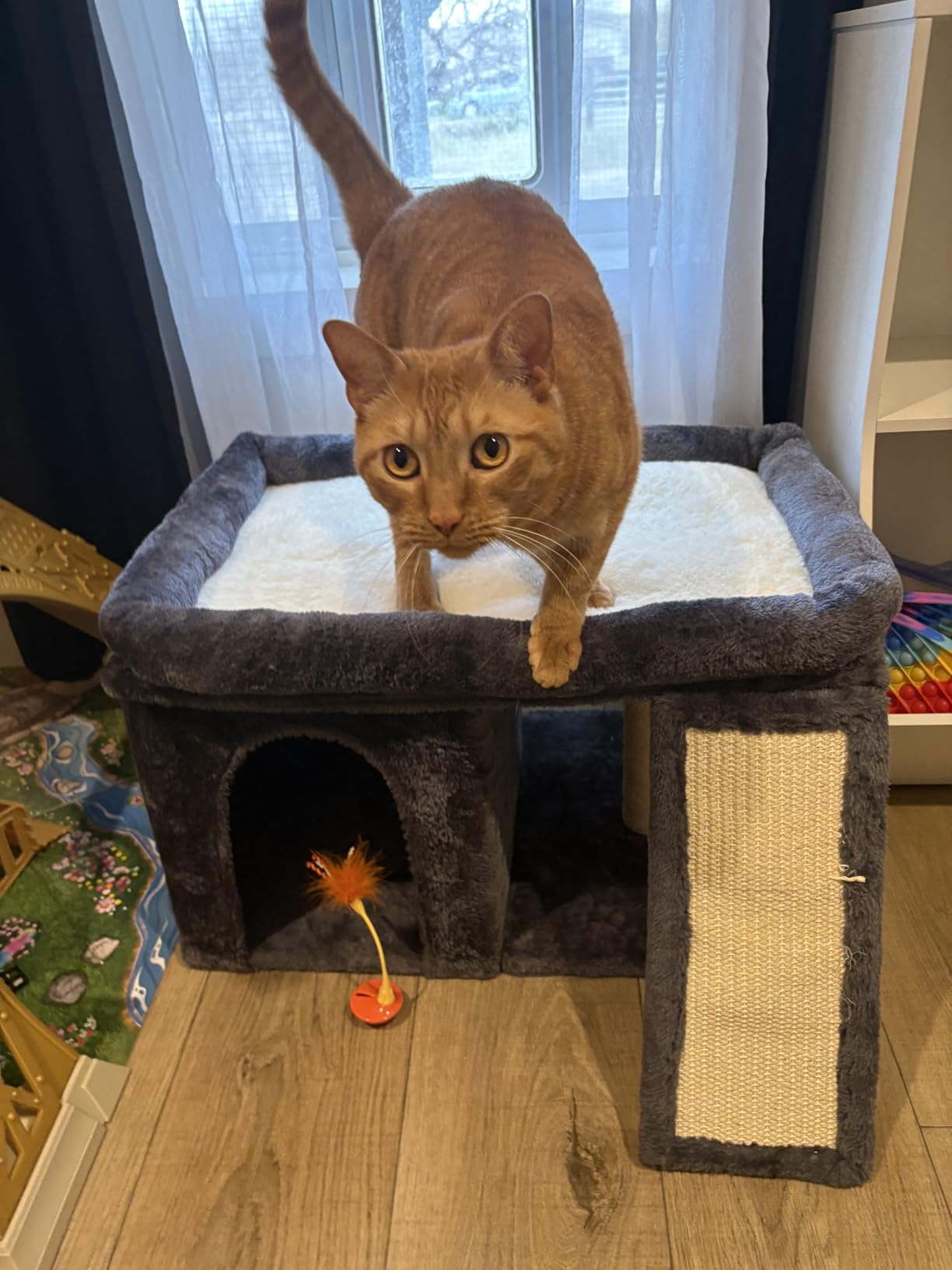 Aechonow Cat Tree for Large Cats, 20x16.5 Perch Bed for Adult Senior Cats customer photo 1