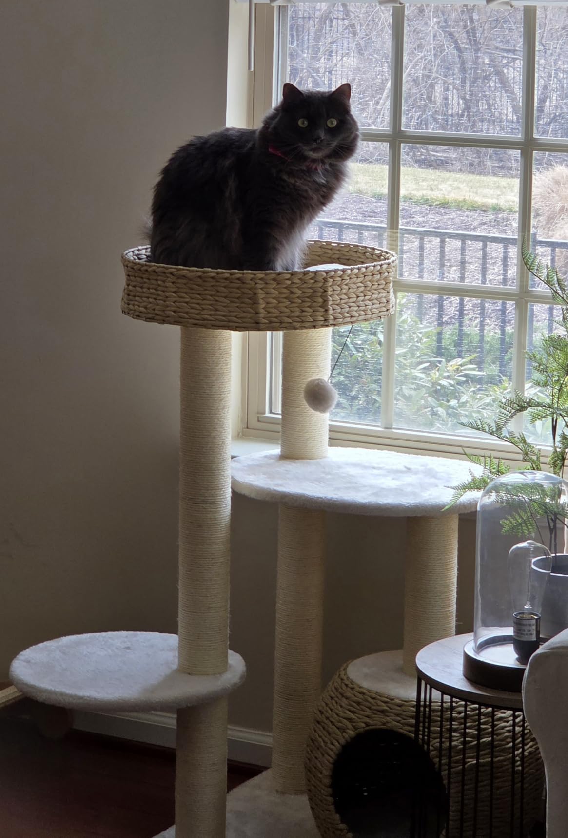 KAMABOKO Modern Cat Tree, Hand-Woven Condo & Top Perch,cat Houses & Condos customer photo 2