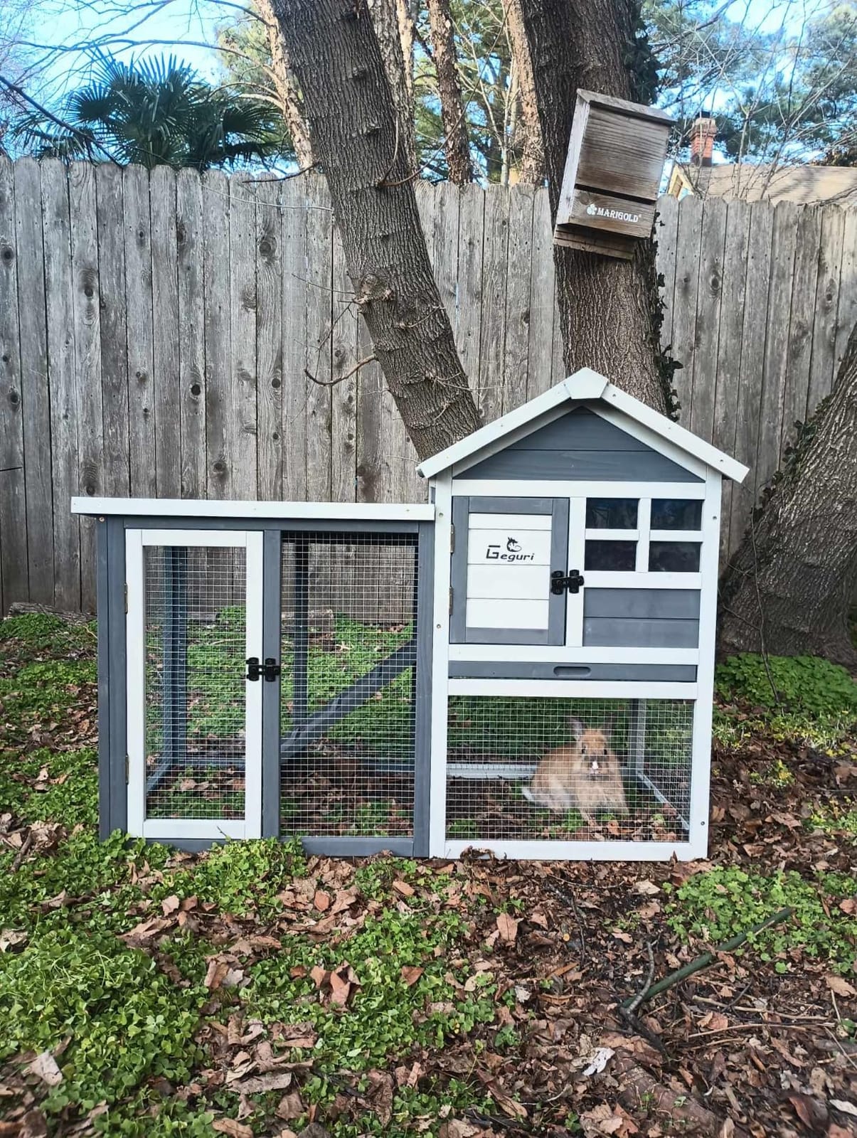 GEGURI Wooden Rabbit Hutch, Indoor Outdoor Chicken Coop Bunny Cage with Waterproof Roof customer photo 1