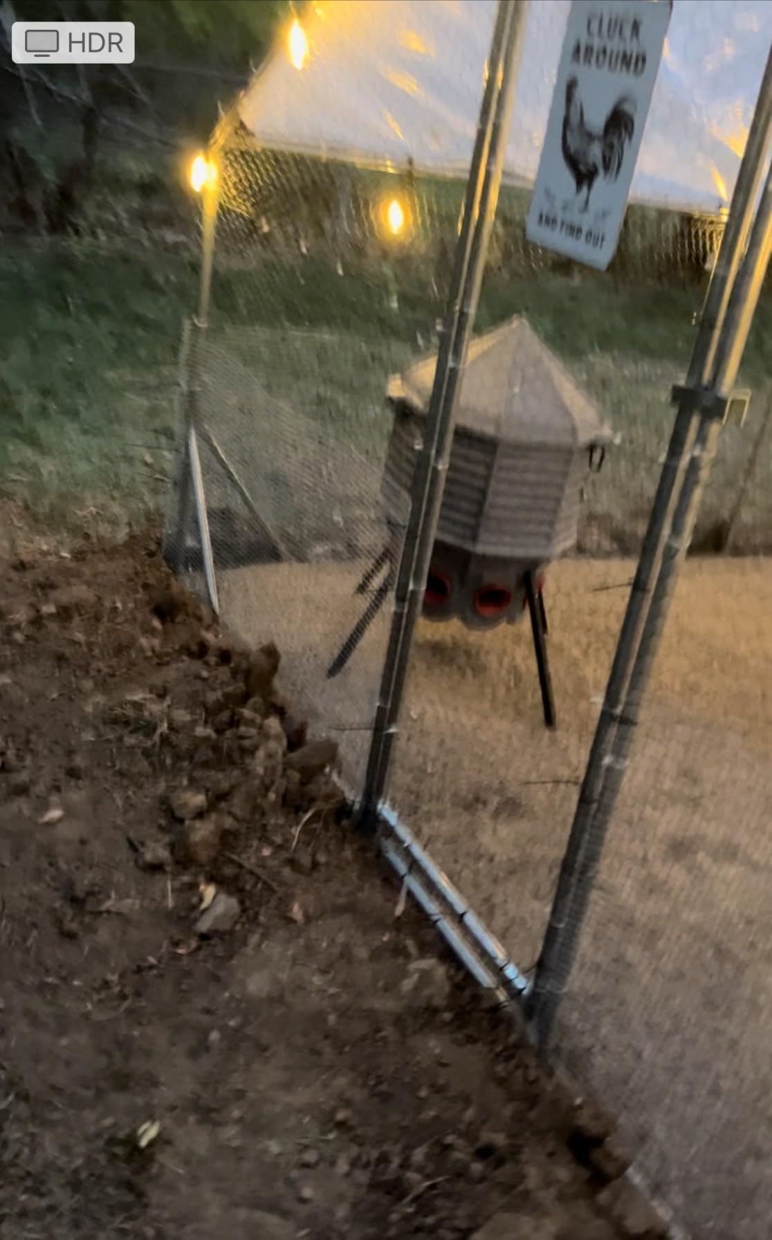 CoopWorx Poultry Feeder 80 lb Capacity - Adjustable Height Chicken Feeder - UV Stable Rotomolded - 8 Soft-Touch Ports - Roost-Resistant Lockable Lid - Made in USA customer photo 1
