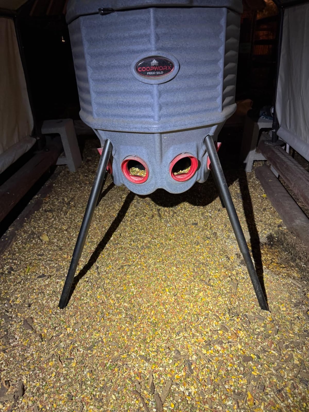 CoopWorx Poultry Feeder 80 lb Capacity - Adjustable Height Chicken Feeder - UV Stable Rotomolded - 8 Soft-Touch Ports - Roost-Resistant Lockable Lid - Made in USA customer photo 2
