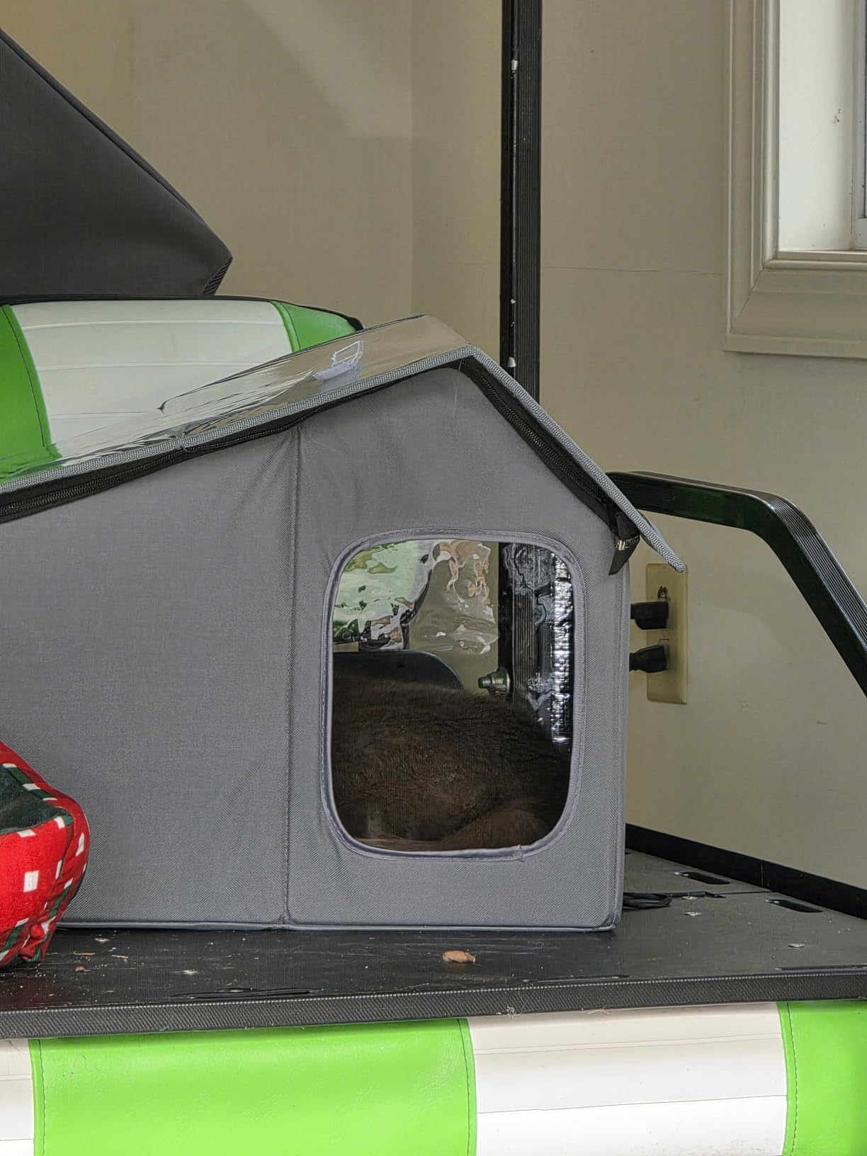 Weatherproof Heated Cat Houses for Outdoor Cats - Insulated Cat Shelter for Winter with Thermostatic Heating Pad and Escape Door, Warm Outside Pet House Gift for 1-2 Feral Cats (Medium) customer photo 1