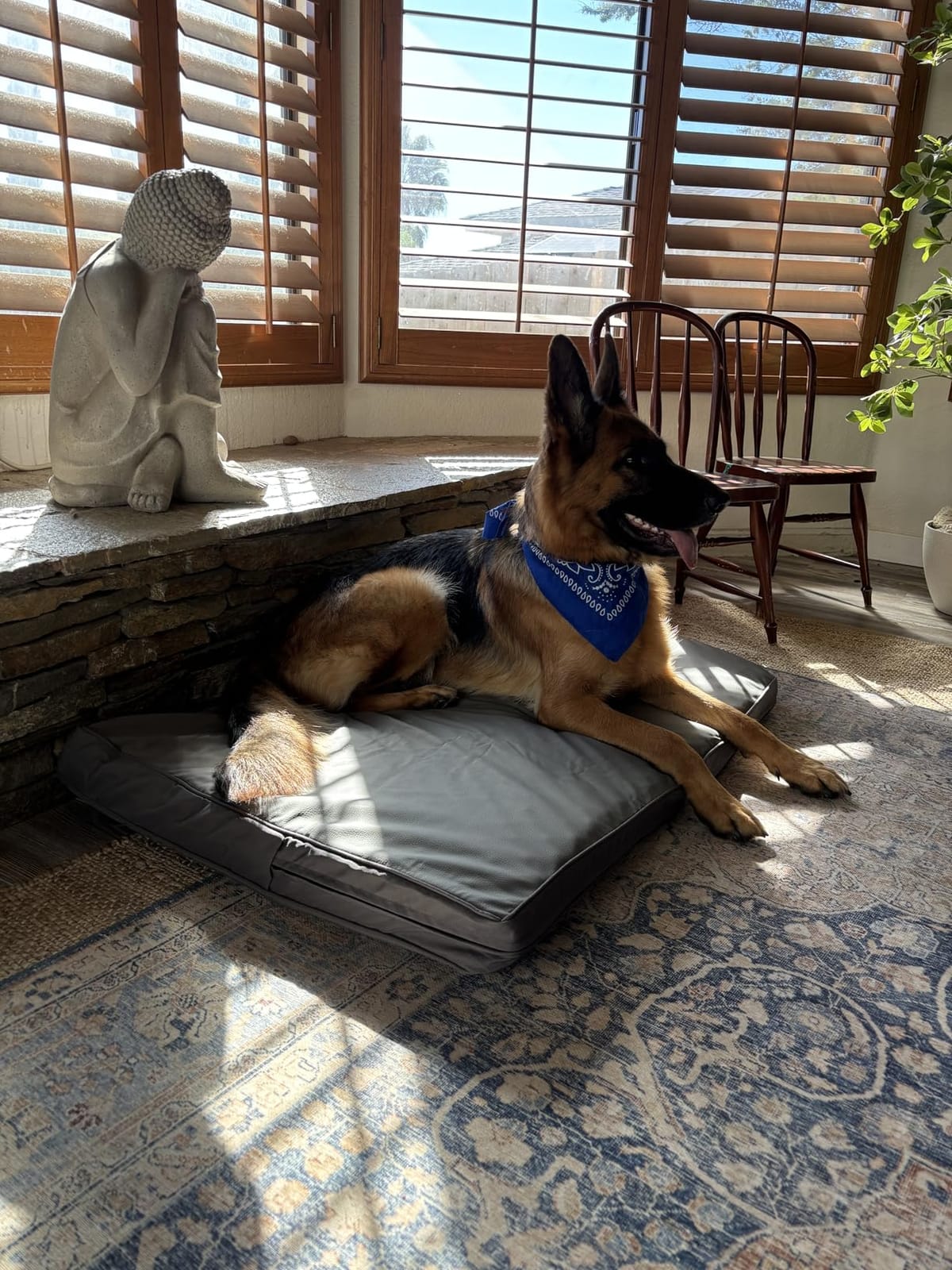 XXL Dog Bed Waterproof Outdoor Washable Foam Large Crate Pad 48