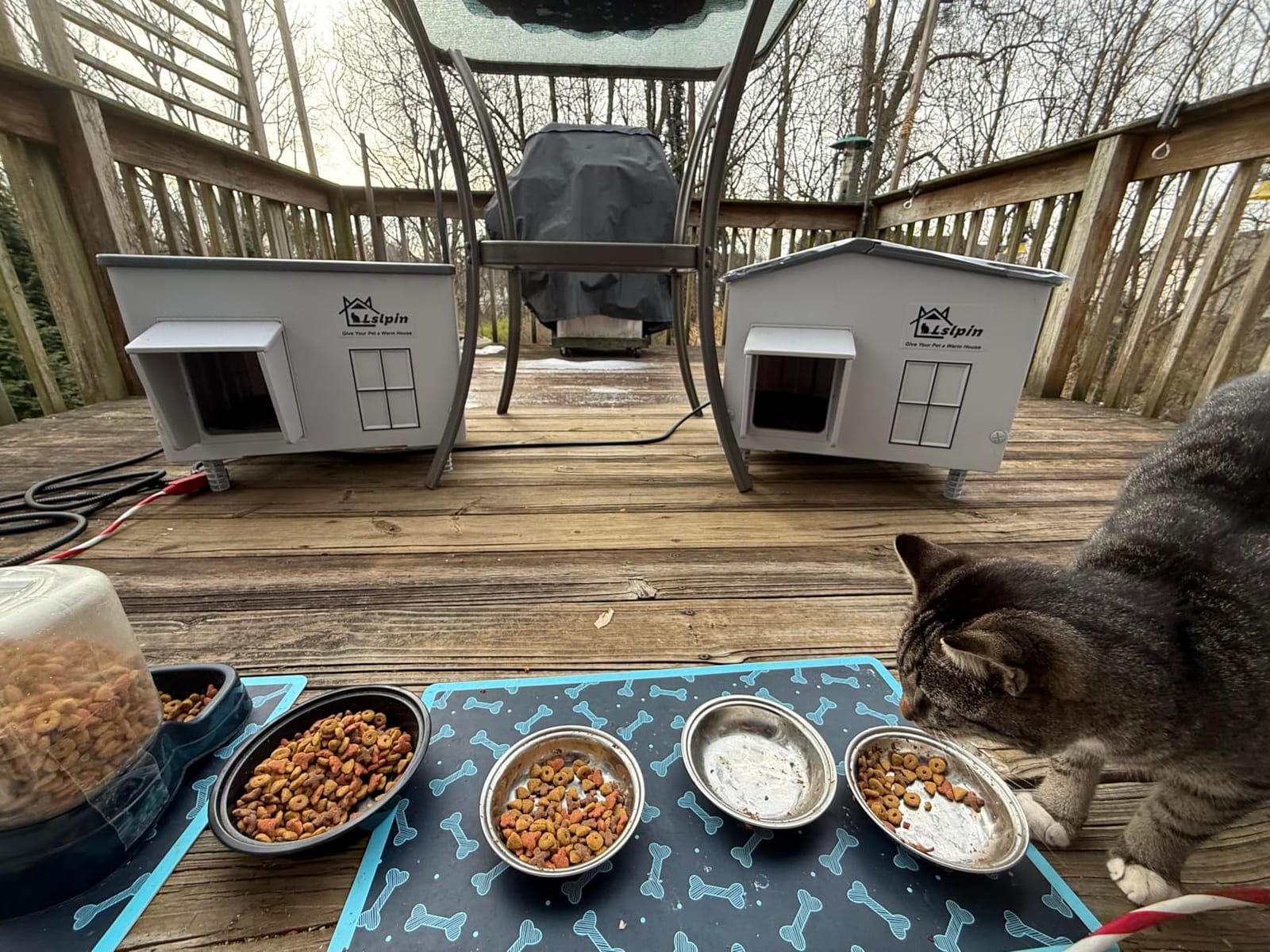 Large Heated Cat House for Outside Cats in Winter, Lslpin Weatherproof & Insulated Outdoor Feral Cat House with Escape Door,Outside Cats House Shelter with Heating Pad 21.6×16.9×17.5 customer photo 2