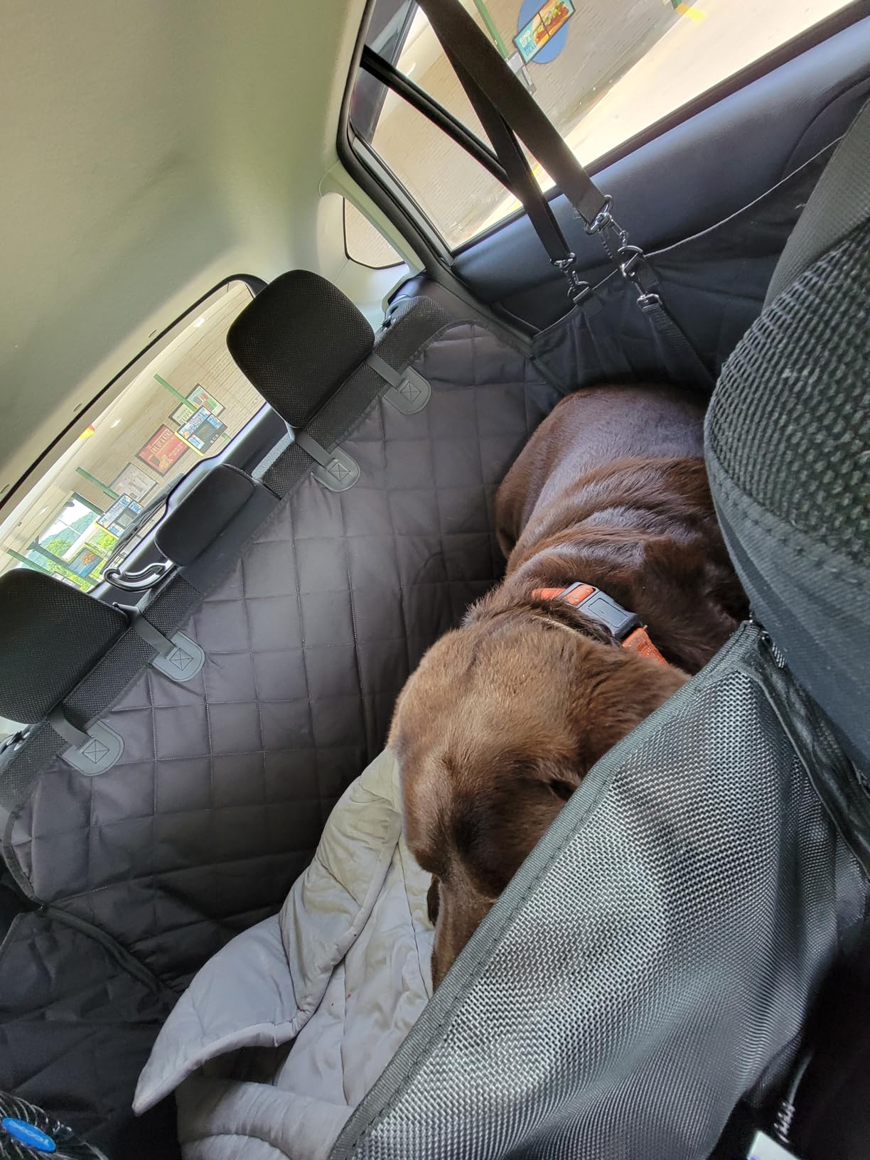 Hard Bottom Dog Car Seat Cover for Back Seat, Back Seat Extender customer photo 1
