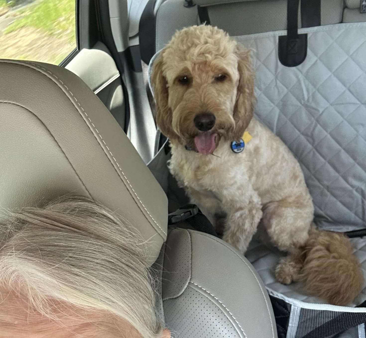 Dog Car Seat Cover, 600D Heavy Dute Car Seat Cover for Dogs Pets, 100% Waterproof Anti-Scratch Nonslip Dog Hammock for Cars, Seat Covers Protector with SeatBelt for Sedan SUV Truck Standard Black customer photo 2
