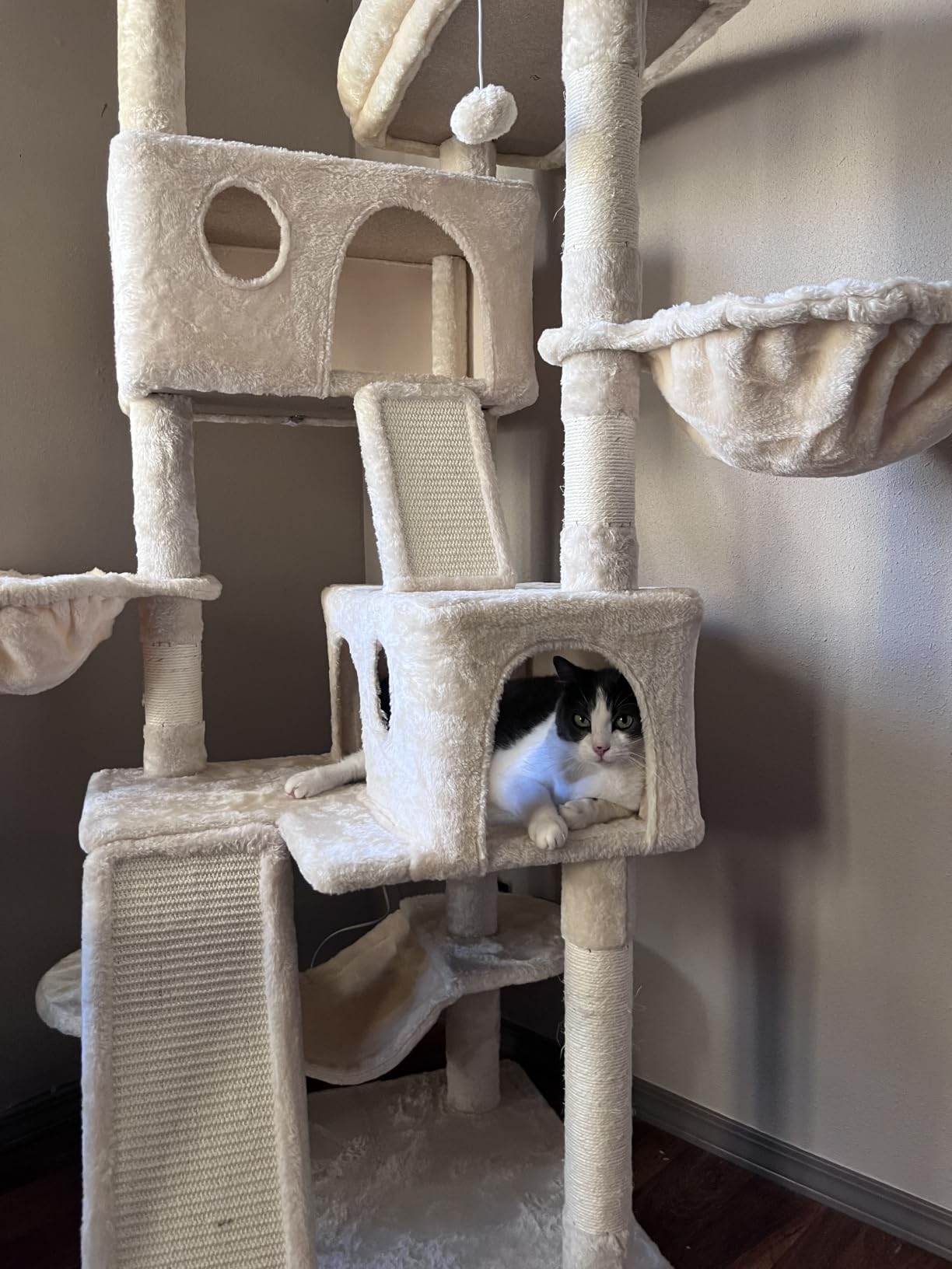SHA CERLIN 65in Larger Cat Tree Tower Condo for Indoor Kitties/Multi-Level Furniture Activity Center with Wide Base/Cozy Plush Cat Perches/Baskets/Sisal Scratching Posts and Hammock/Beige customer photo 2