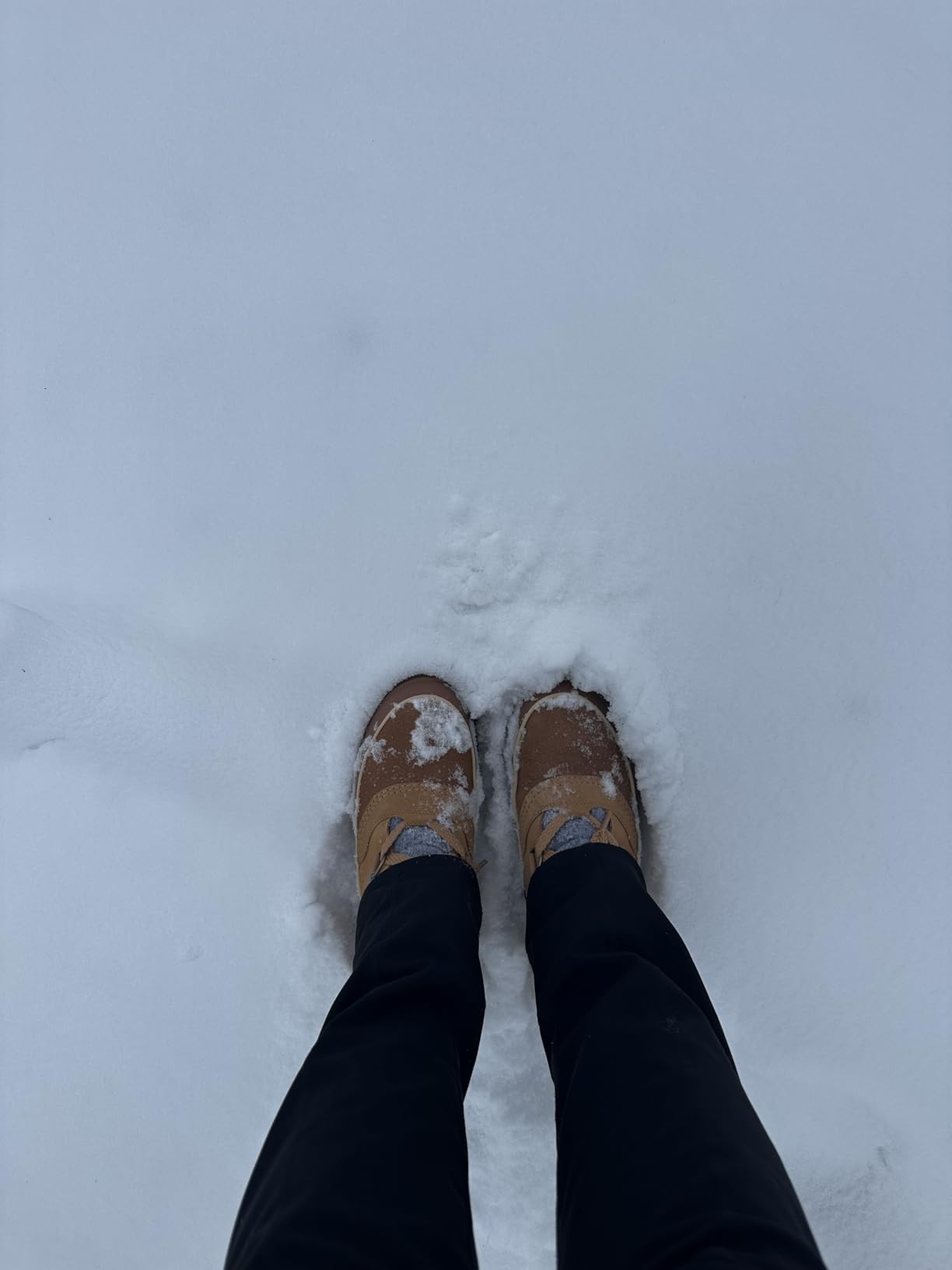 Sorel Women's Tivoli V Waterproof Boot customer photo 2