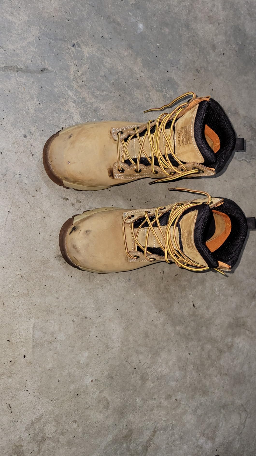 Timberland PRO Men's Titan Ev 6 Inch Composite Safety Toe Waterproof customer photo 2