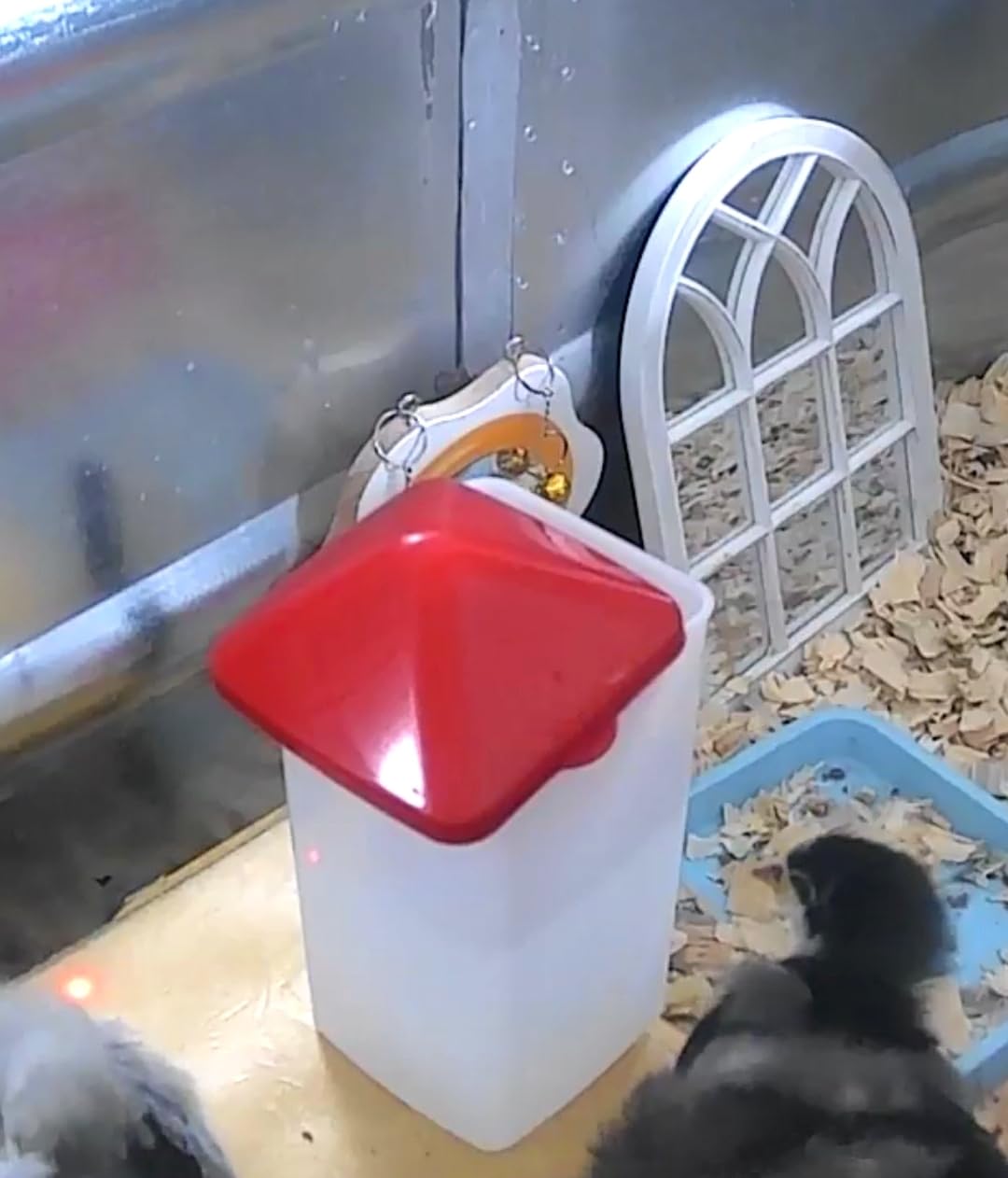 ZenxyHoC Baby Chick Waterer with Nipple Drinker 2 * 0.26 Gal (White) customer photo 1