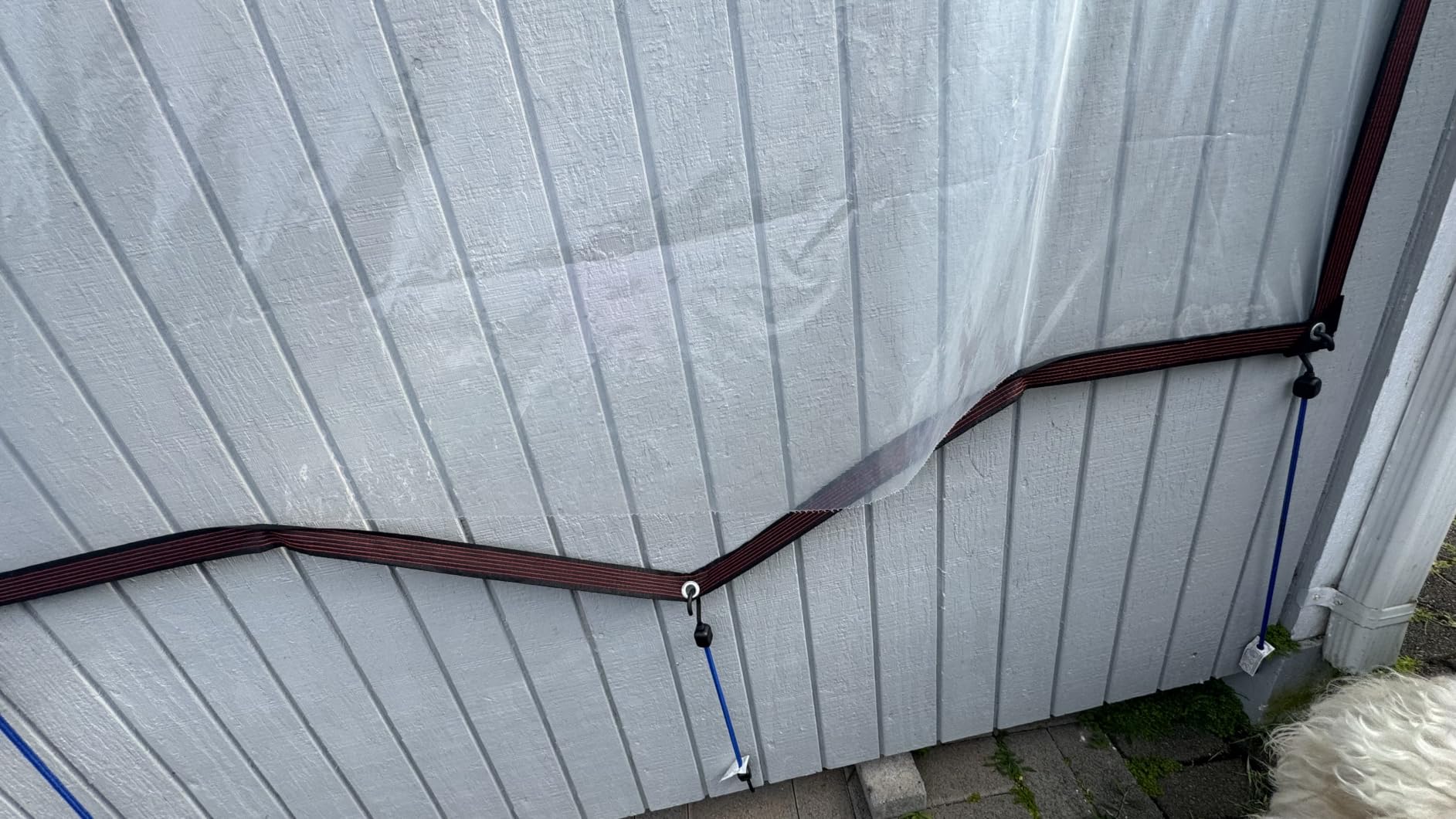 Clear Tarp Heavy Duty Waterproof,90% Transparent with Grommets customer photo 2
