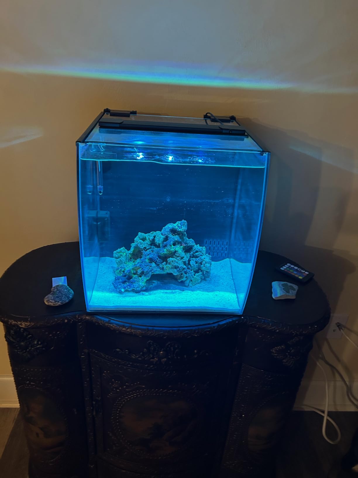 Aquatop 13.5 Gallon Bow Front Glass Aquarium Kit with Filter and LED Lighting - All in One Desktop Fish Tank, Ideal for Freshwater and Saltwater, BFK-13 customer photo 2