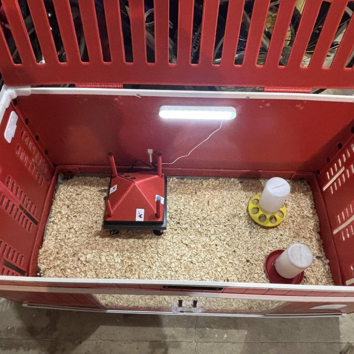 RentACoop Big Red Barn Chick Brooder customer photo 2
