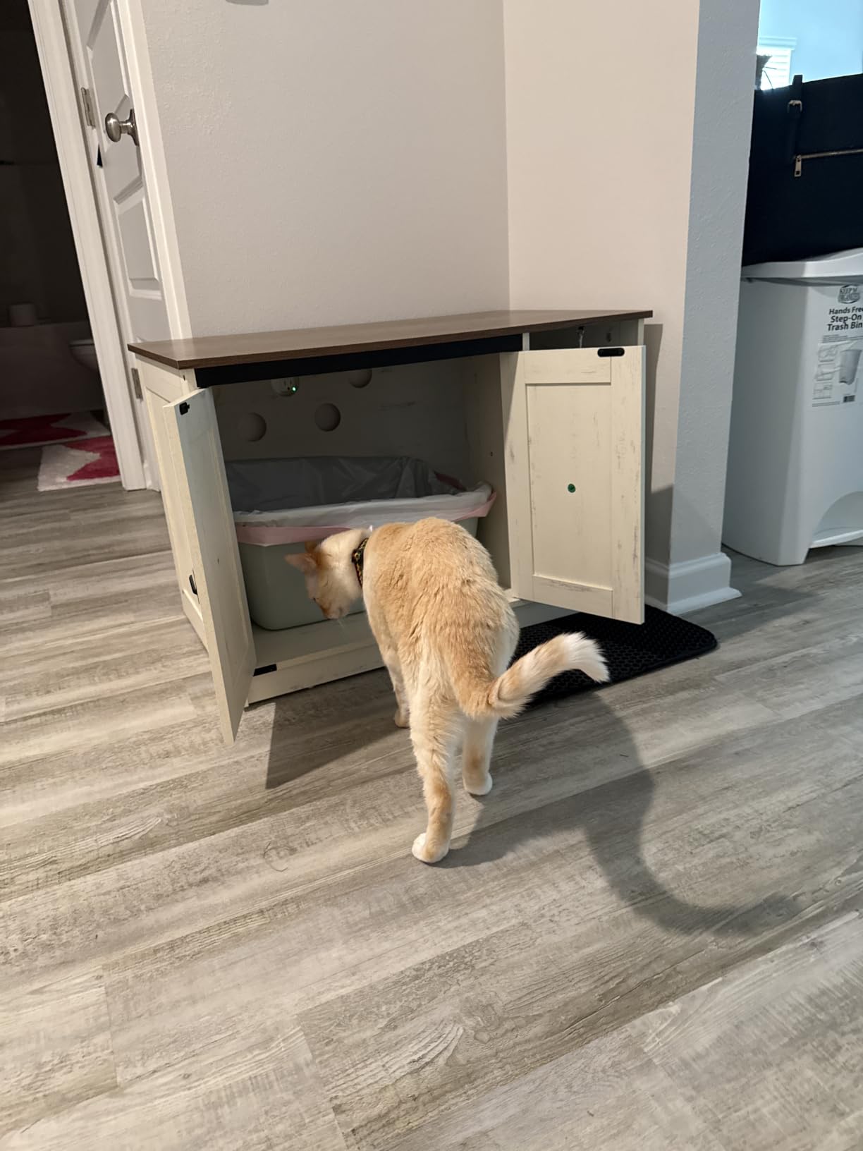 Hzuaneri Cat Litter Box Enclosure, Hidden Litter Box Cabinet Furniture customer photo 2