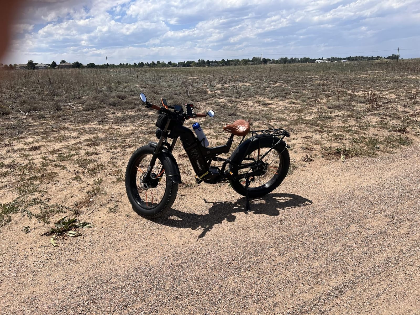 FREESKY Dual Motor 45MPH 120Mile 260NM LG Cells Electric Bike for Adults customer photo 1