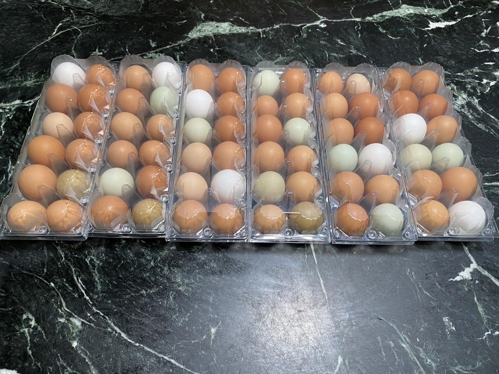 SINLUCESCE 60 Packs Egg Cartons Cheap Bulk, Plastic for 12 Eggs, Clear Egg Cartons 2 x 6 Grids, Perfect for Refrigerator Family Farm Commercial Business Market Display customer photo 1