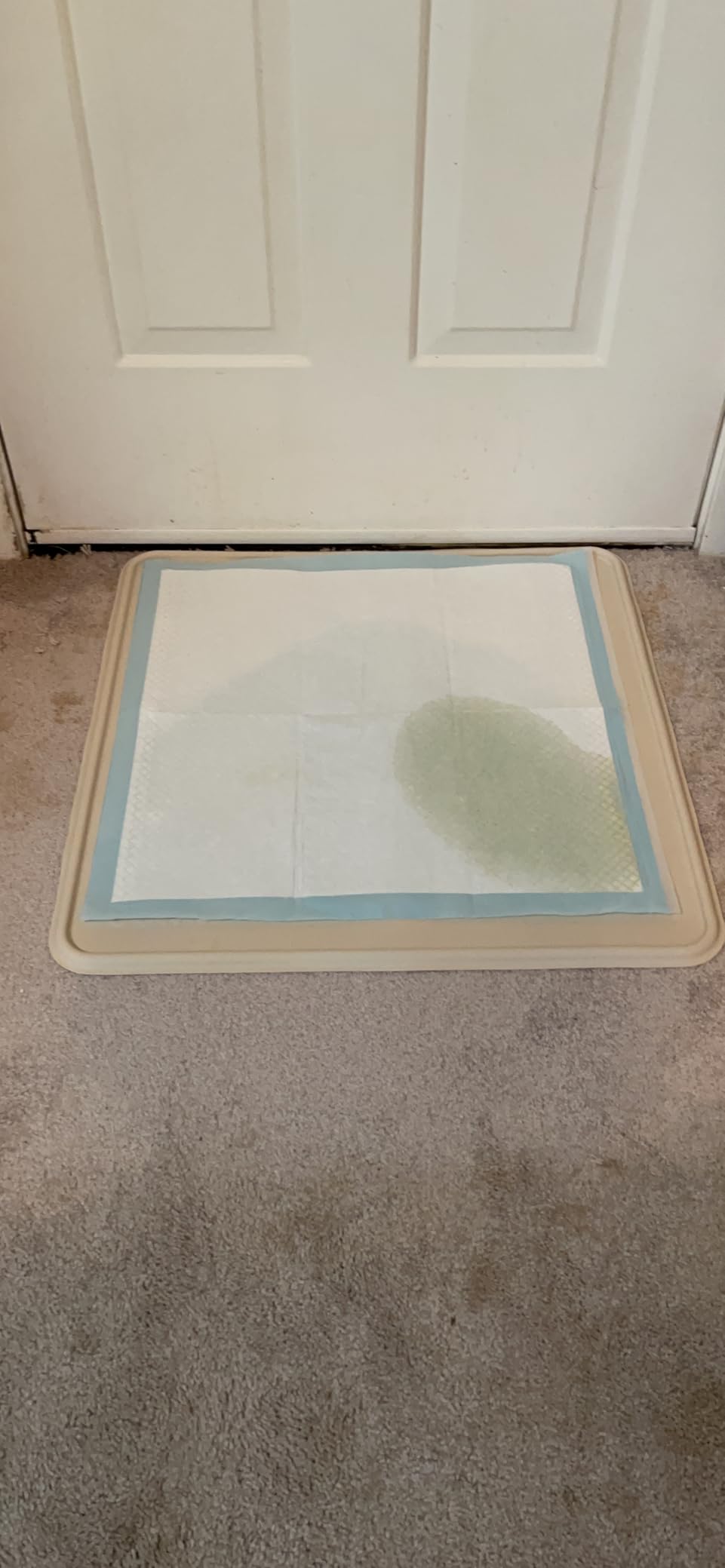 Pee Pad Tray Holder for Dogs - Fits Up to 22 x 22 in. Square Potty Training Pads No Spill Raised Lip High Edge Silicone Mat, Extra Thick and Non-Slip for Indoor Floor Protection (Small, Pink) | eenk customer photo 2
