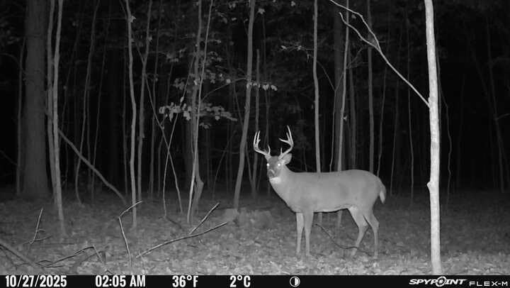 SPYPOINT Flex-M Twin, Cellular Trail Camera, Night Vision, Free Photo Plan customer photo 2