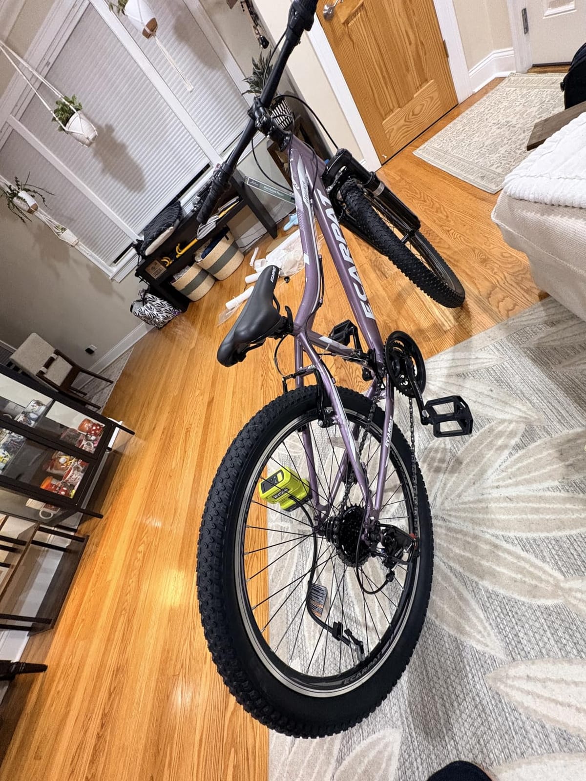 Ecarpat 24 26 Inch Women Girls Mountain Bike, Disc/V Brakes 21 Speeds Women MTB Bike, Steel Frame and Front Suspension Fork, Stylish Adult and Teens Sport Bicycle for Urban Trail Commuter customer photo 2