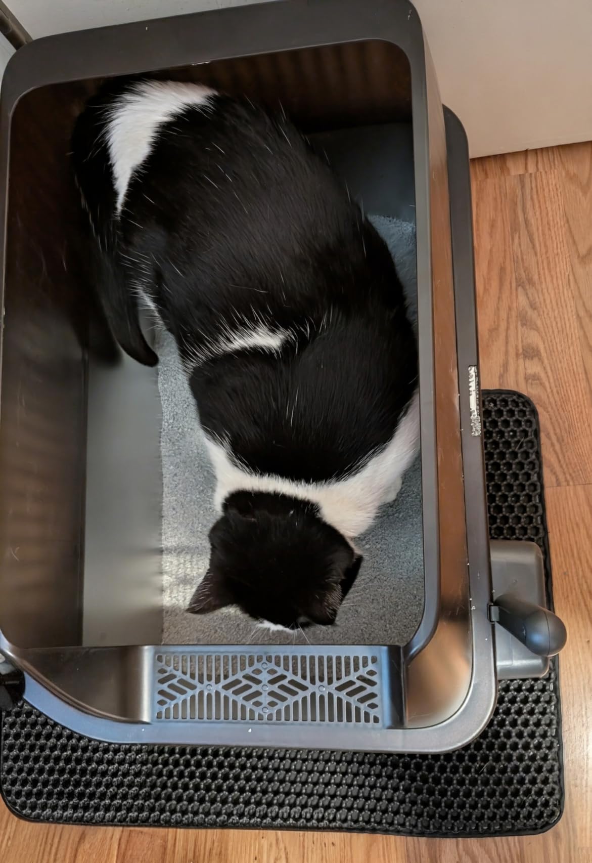 Tripamin 15”Stainless Steel Cat Litter Box Enclosure, XXL Stainless Steel High Sides with Lid, Extra Large Metal Cat Litter Box, Anti Leakage, Non-Sticky, Easy Cleaning, Includes Scoop customer photo 2