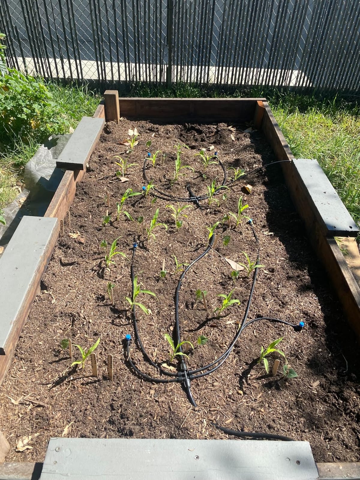 Bonviee Drip Irrigation System Kit for Garden Watering, 230FT Quick Connect customer photo 2