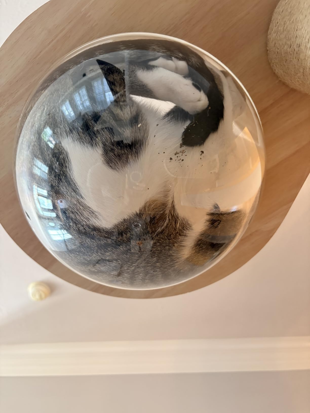 Veehoo Floor to Ceiling Cat Tree,102-122