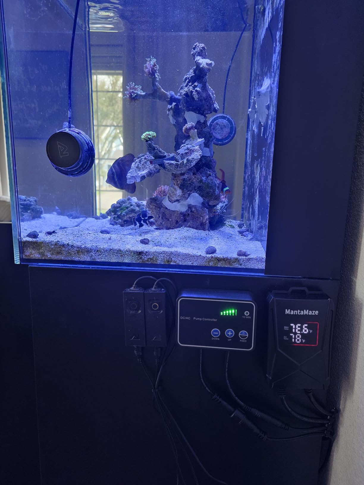 Submersible Aquarium Heater,300W/500W/800W/1000W Fish Tank Heater customer photo 2
