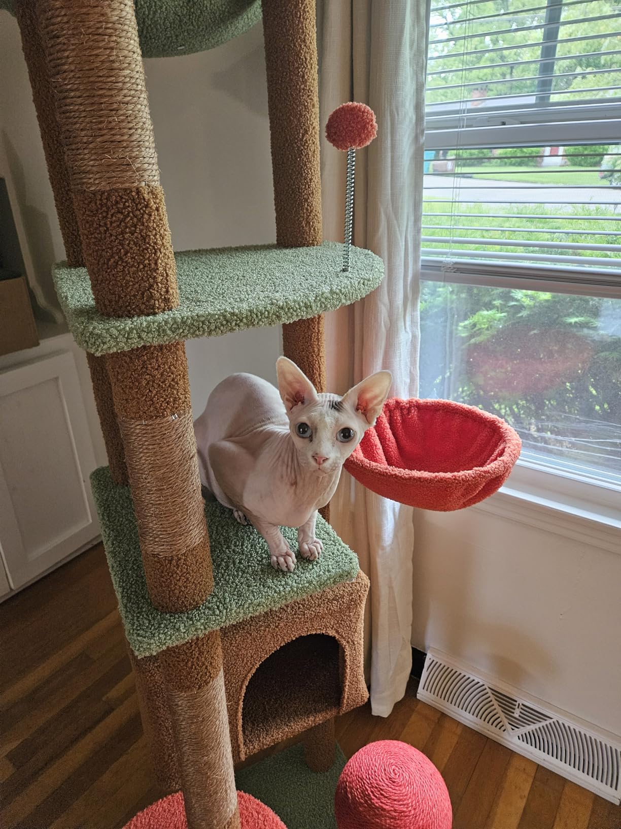 PEQULTI Floor to Ceiling Cat Tree Tower, Height Adjustable 230-252cm, Brown customer photo 1