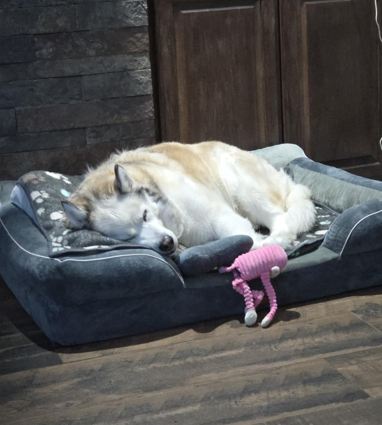 CWAWZ Dog Beds for Large Dogs, Orthopedic Dog Bed with Cooling Gel Memory Foam, Waterproof Large Pet Bed with Removable Washable Cover, 36