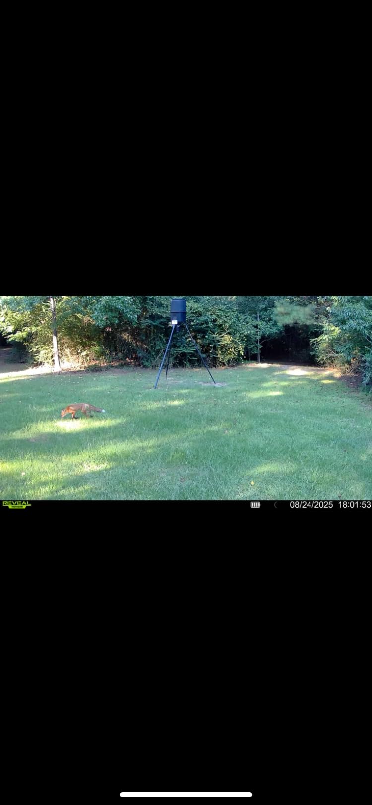 TACTACAM Reveal X 3.0 Cellular Trail Camera, Night Vision, Waterproof customer photo 1