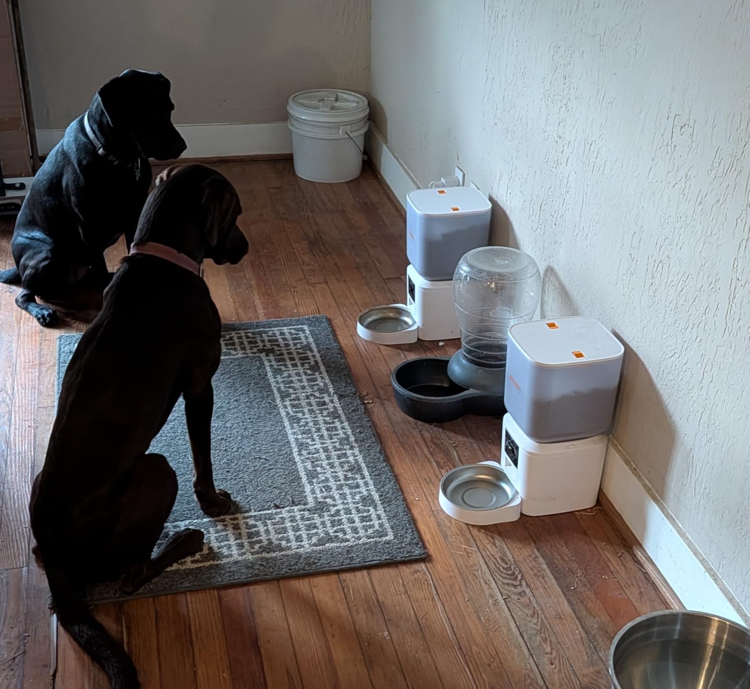 Automatic Dog & Cat Feeder with Camera & WiFi – 8L/34 Cups, 1080P Night Vision, 2.4 & 5G WiFi, 2-Way Talk, 10s Voice Recording, Timed Food Dispenser, Up to 99 Portions, 15 Meals Per Day customer photo 2