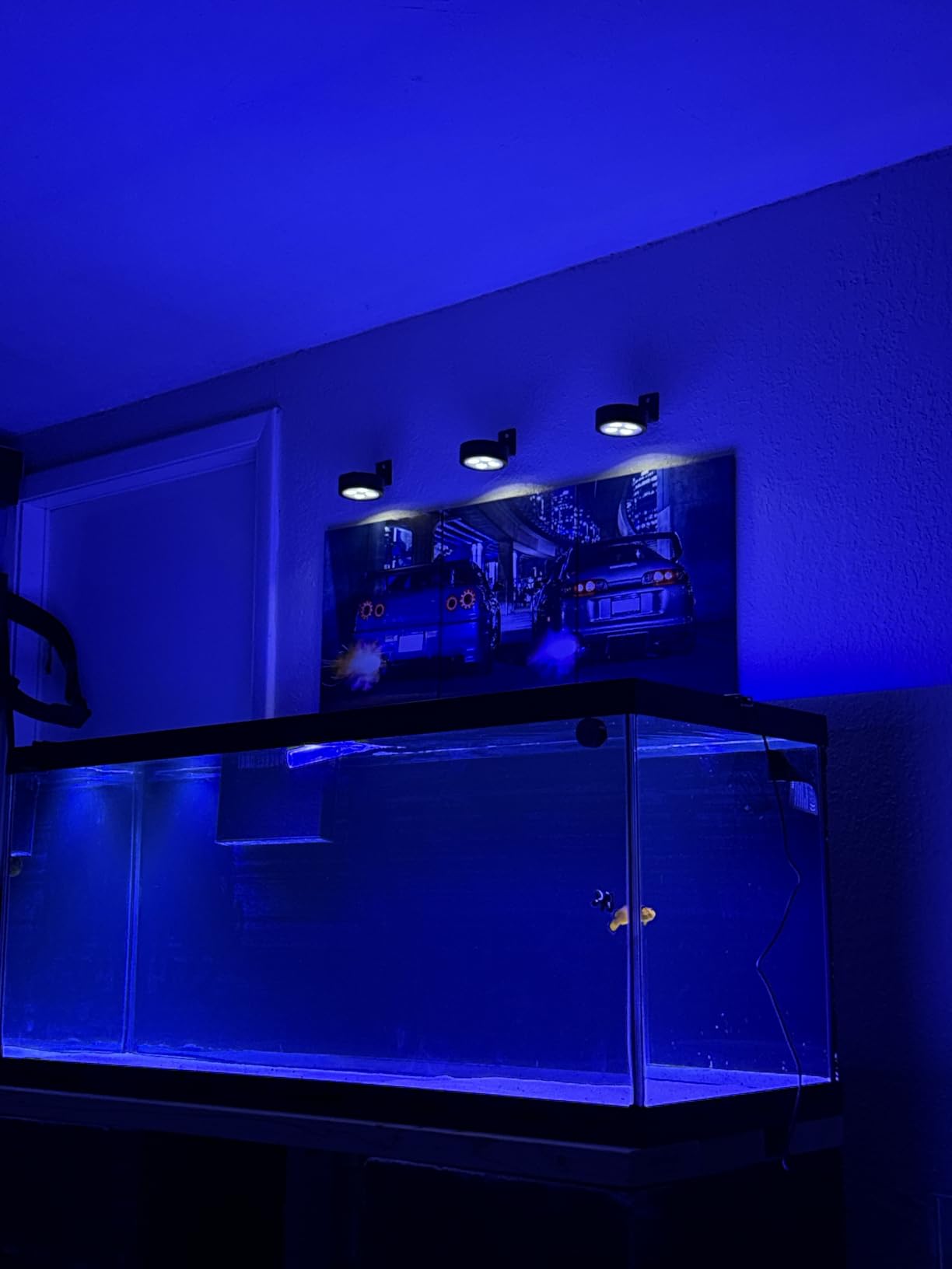 A036 5rd Reef Tank Light 36 Watts Saltwater Light with Touch Control, Reef Lights for Coral Reef Nano Fish Tank Marine Tanks with Timer & Screen customer photo 2