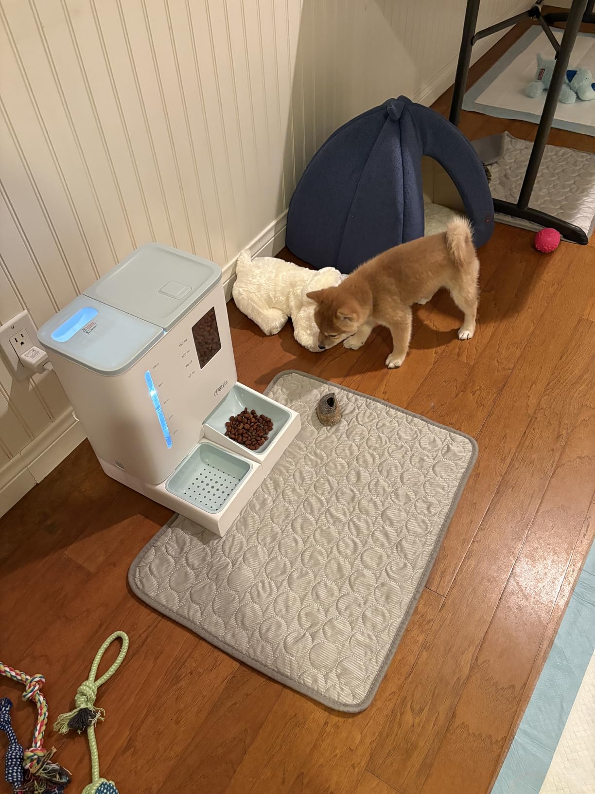 iPettie FW54 5G/2.4GHz WiFi Automatic Feeder and Waterer 2-in-1 Set for Pet customer photo 1