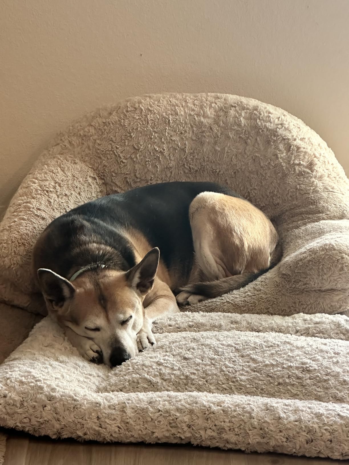 XXL Dog Bed for Crate Pad, High Resilience Foam Mat Bed, 47x29, Dark Grey customer photo 1