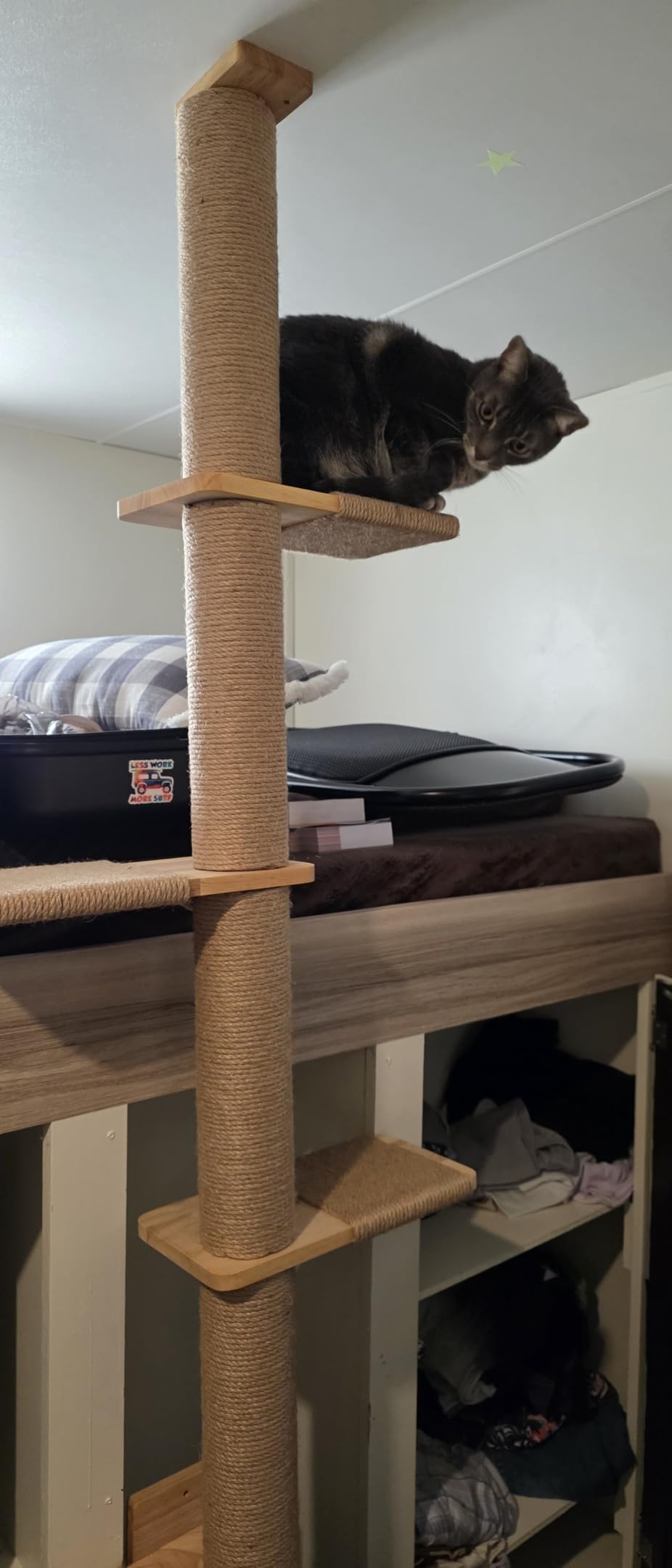FUKUMARU Wall-Mounted Cat Tree for Small & Medium Cats customer photo 1