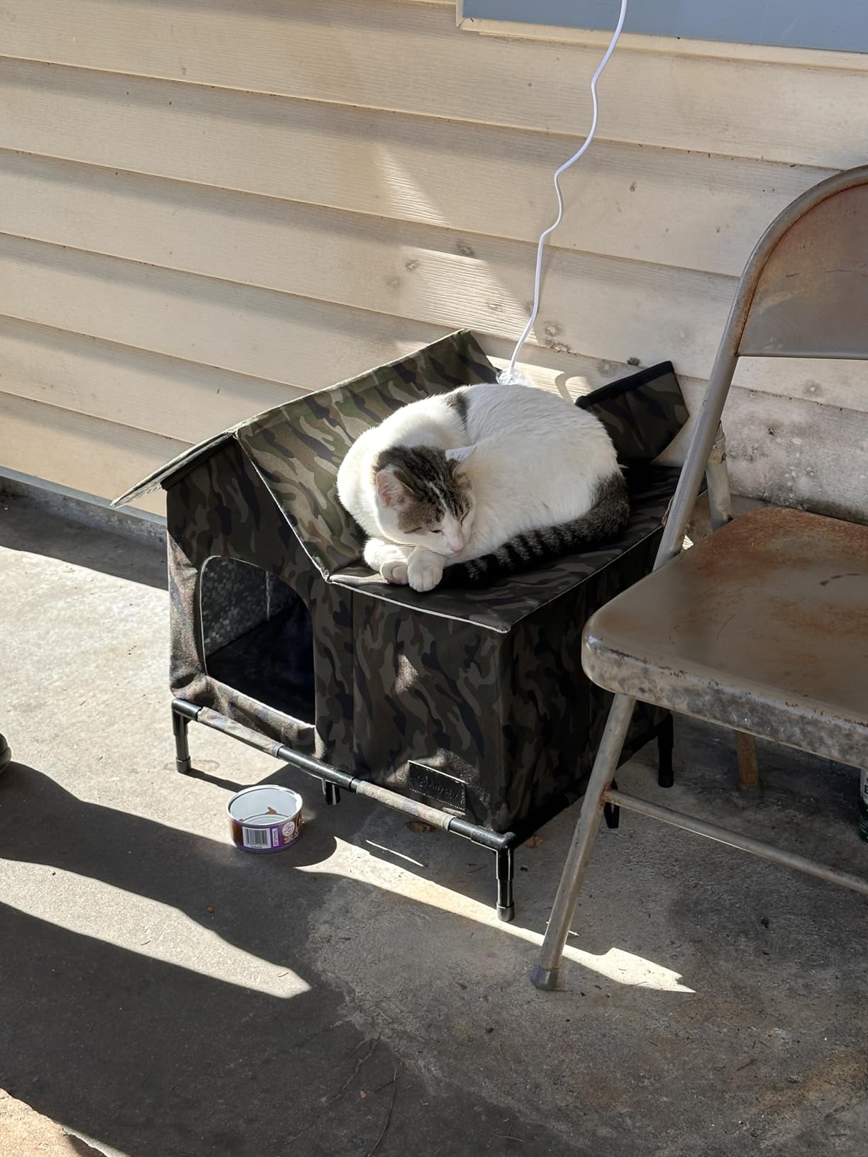 Heated Cat House,Removable Weatherproof Cat Houses for Outdoor Cats with Heating Pad (Gray, Medium) customer photo 1