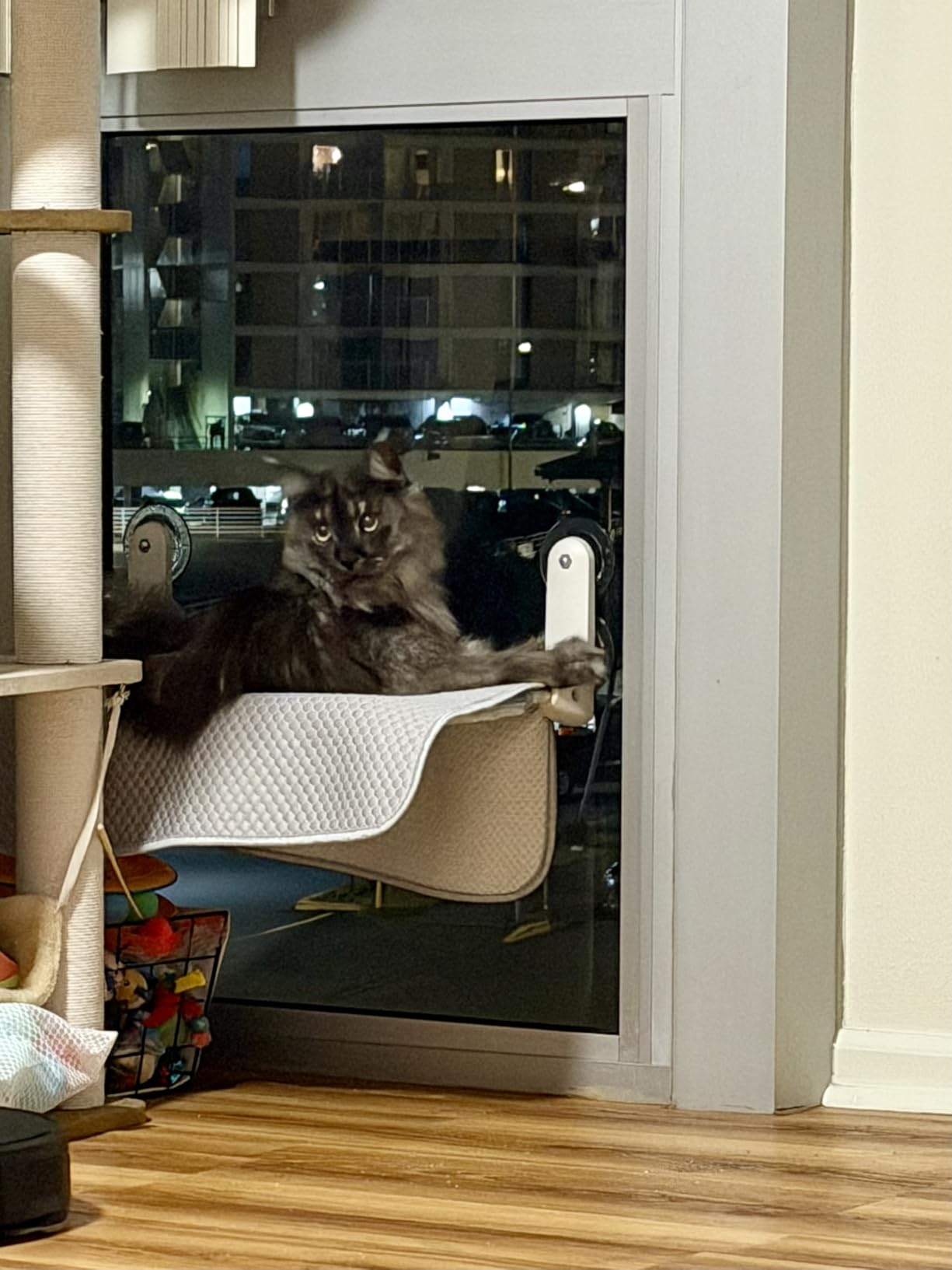 Zoratoo 2PC Cat Window Perch, Foldable & Cordless with Metal Frame, M Gray customer photo 1
