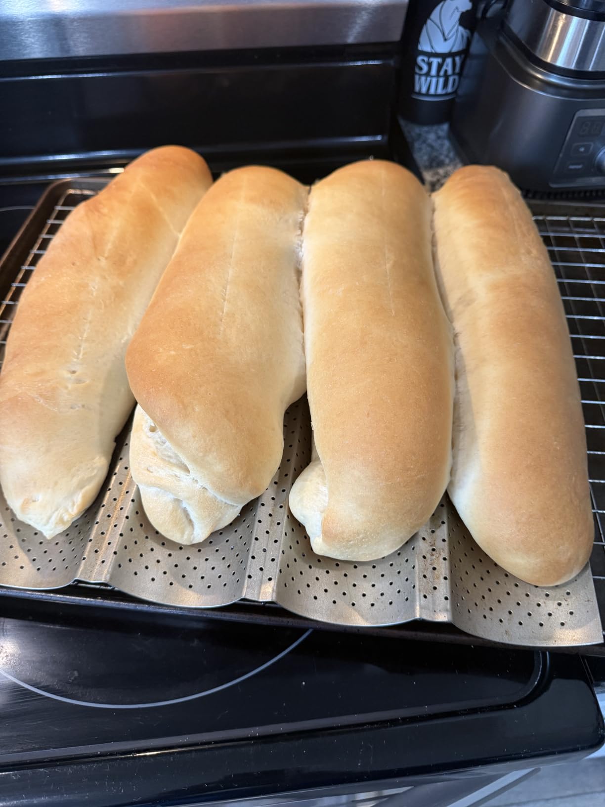 Bread Proofer Warming Box with Temperature Timer Control Metal Rack customer photo 1