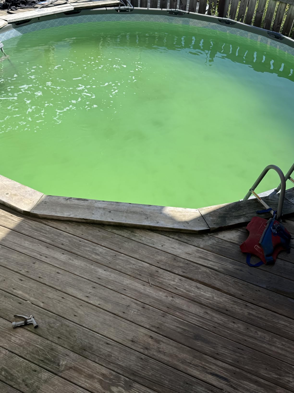 INTEX Krystal Clear Saltwater Pool Chlorine System for Above Ground Pools up to 8,500 Gallons, Pool Cleaner with Automatic Timer and Self Cleaning customer photo 1
