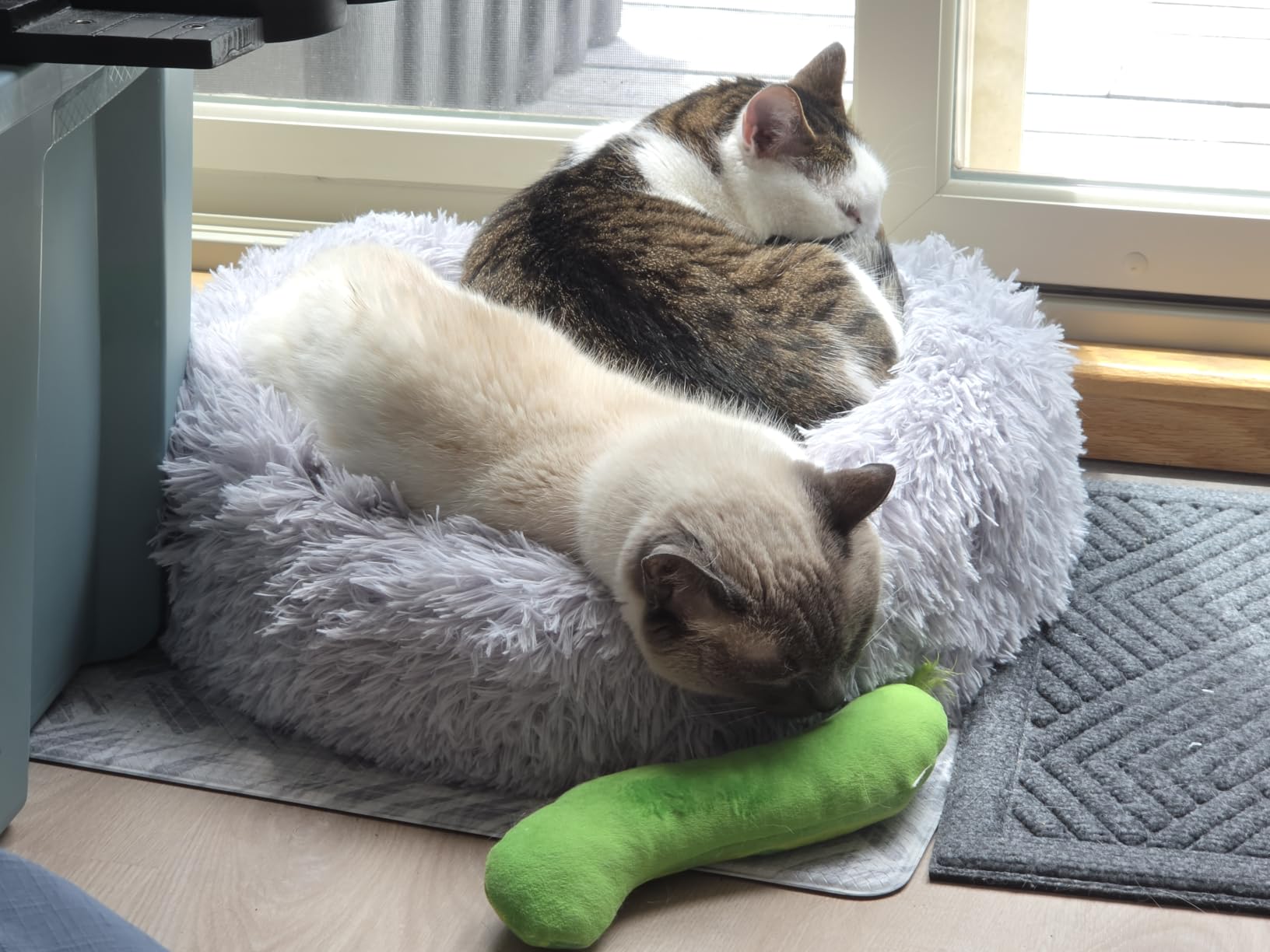 Hoewina Dog & Cat Bed for Indoor Cats, 20in Calming Donut Bed (Light Grey) customer photo 1