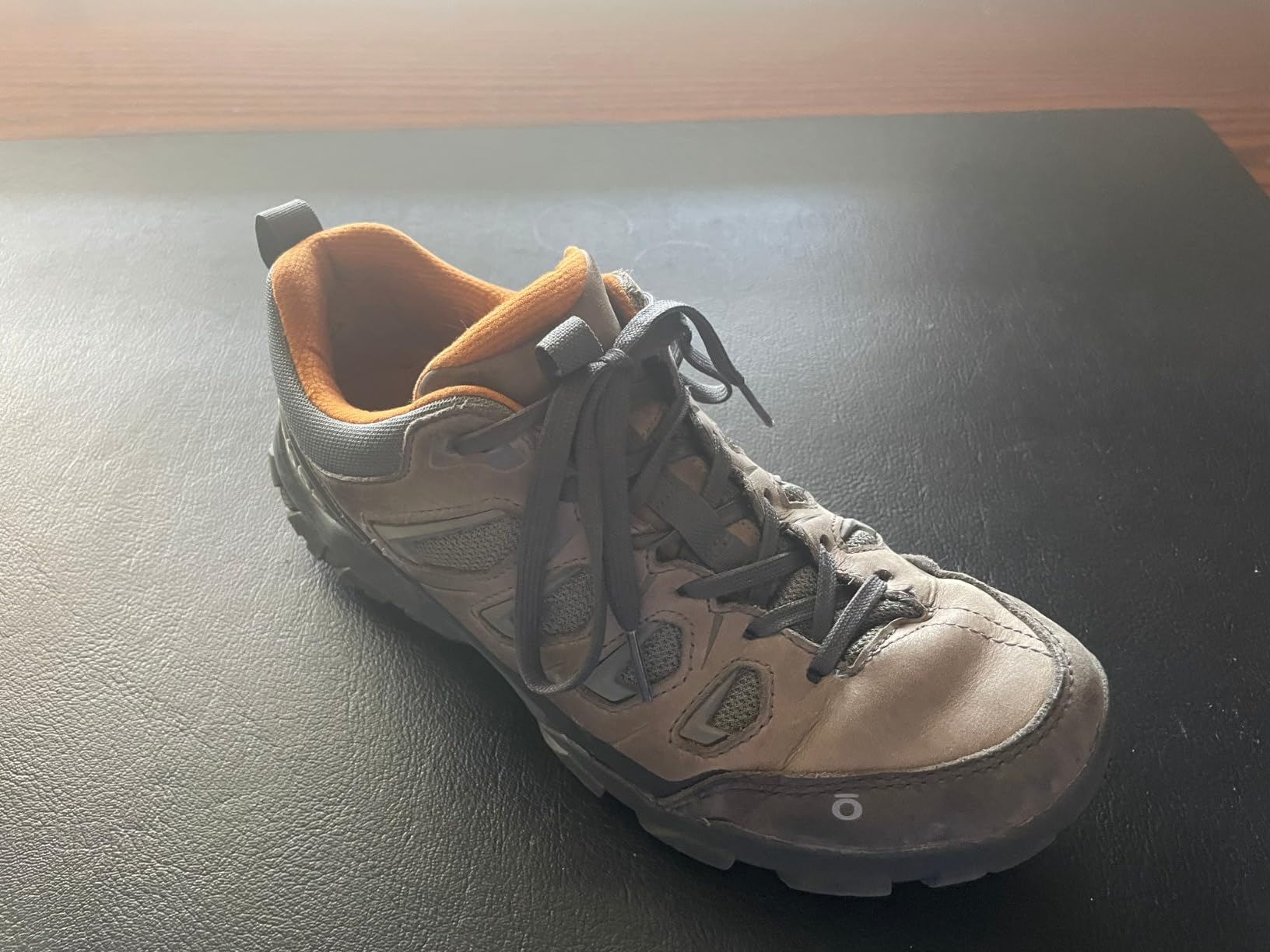 Oboz Men's Sawtooth X Low Hiking Shoe customer photo 1