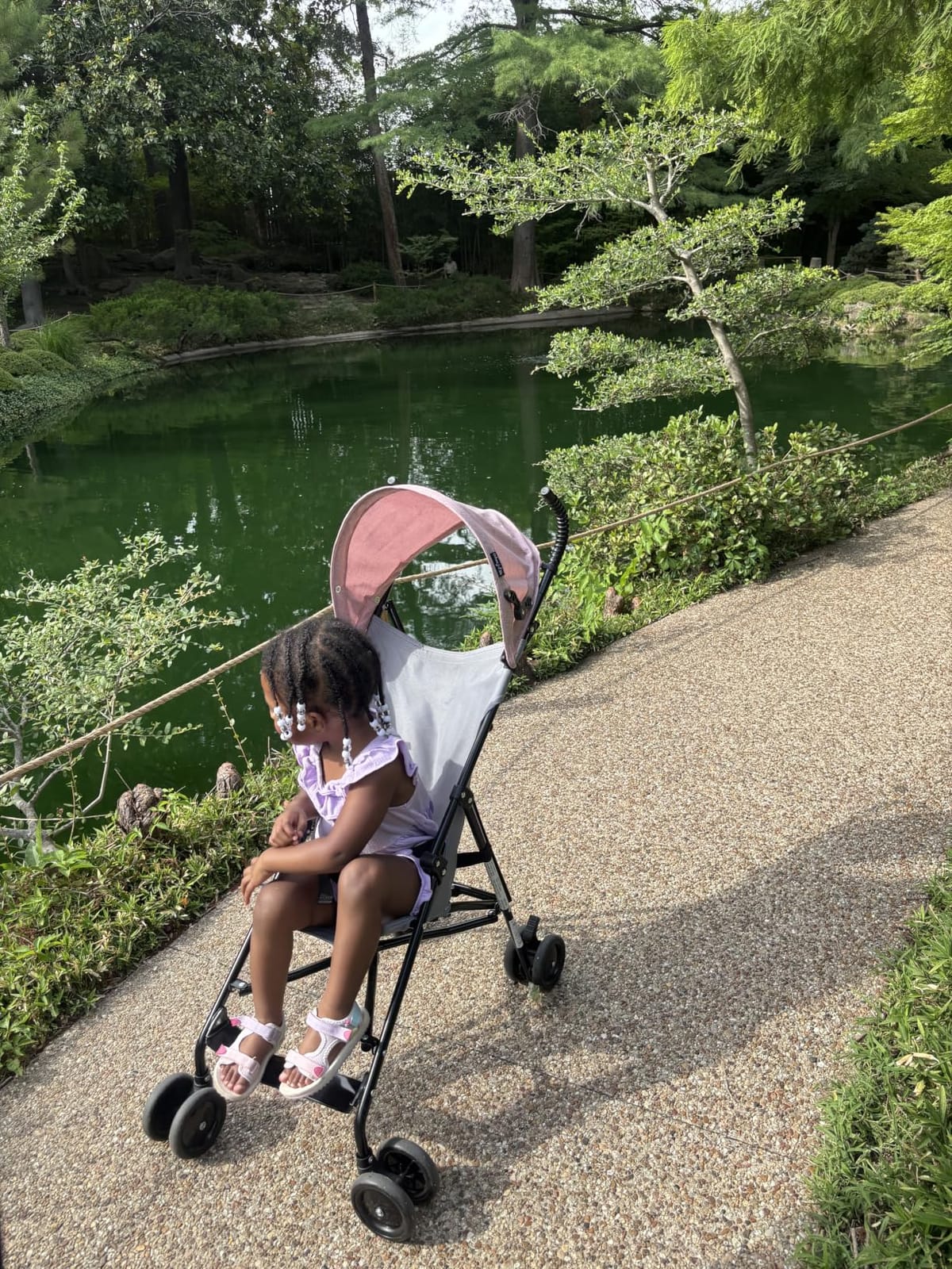 Dream On Me Aero Travel Umbrella Stroller, 1-Hand Fold, Lightweight, Black | 3 Point Safety Harness, Dual Brakes, Adjustable Removable Canopy, Sturdy Steel Frame, Compact, For Toddlers 6-36 months customer photo 2