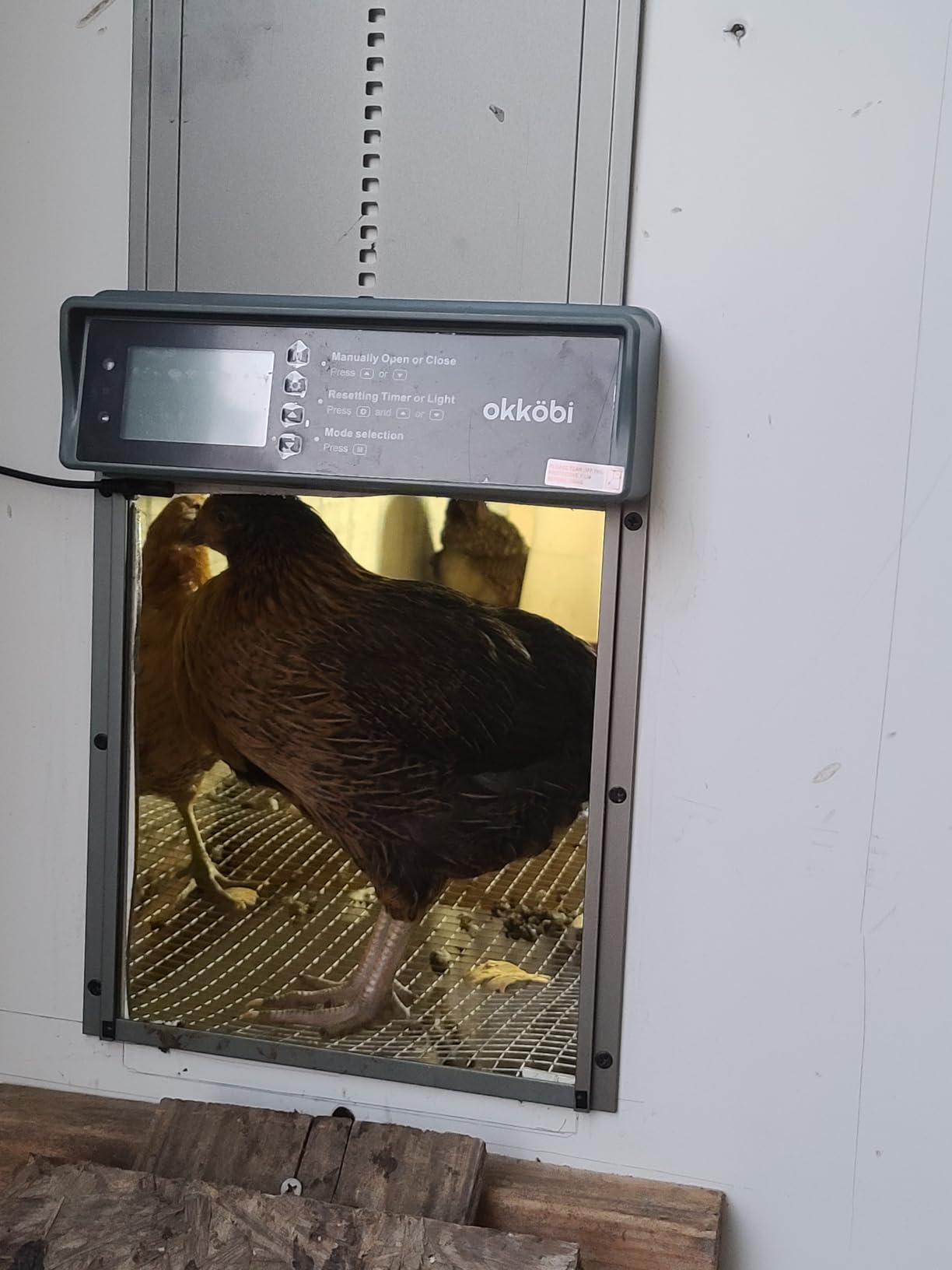 Chicken Coop Door, Light Sensor, Solar Powered Automatic with LCD Display customer photo 1