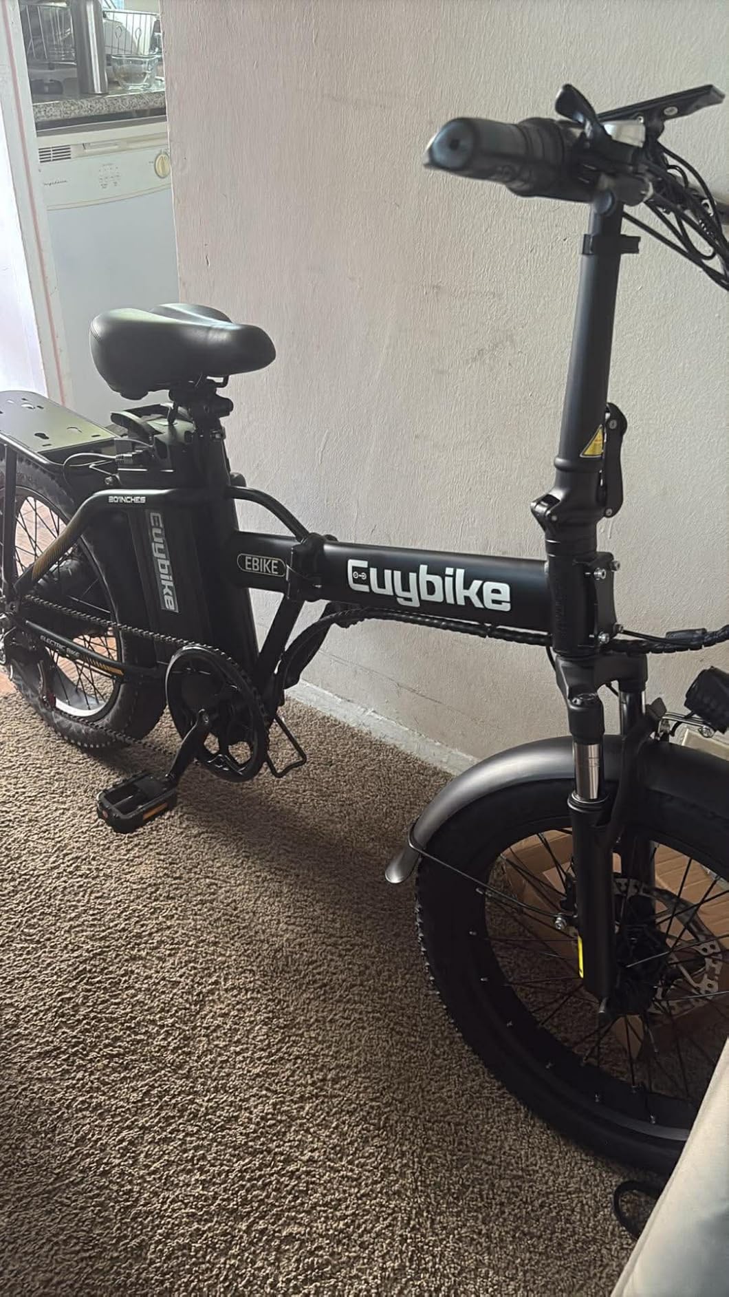 Foldable Electric Bike for Adults, 48V 20Ah Removable Lithium Battery up to 80Miles, 20