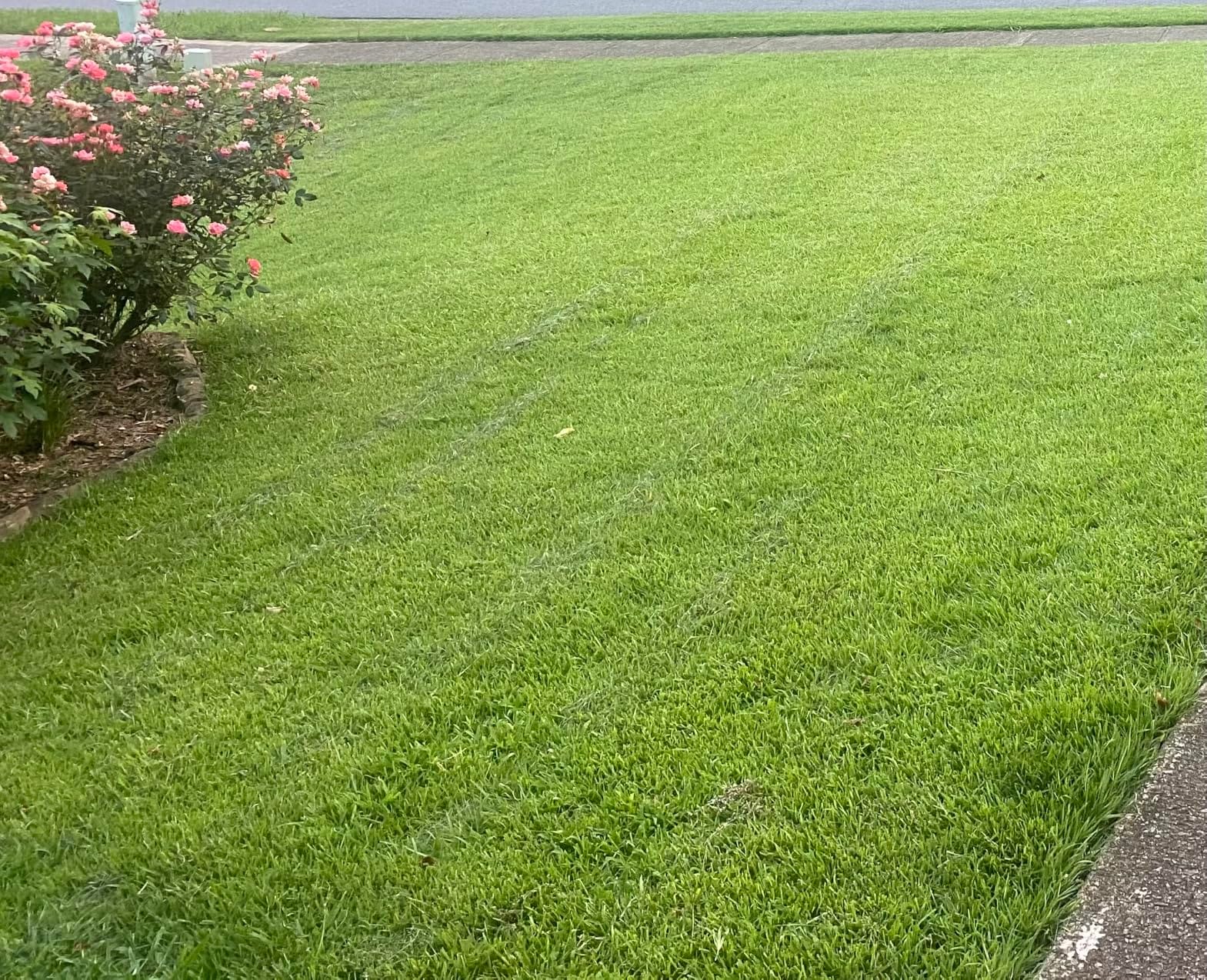 LawnMaster LMRM1401 Push Reel Lawn Mower 14-Inch 5-Blade customer photo 1