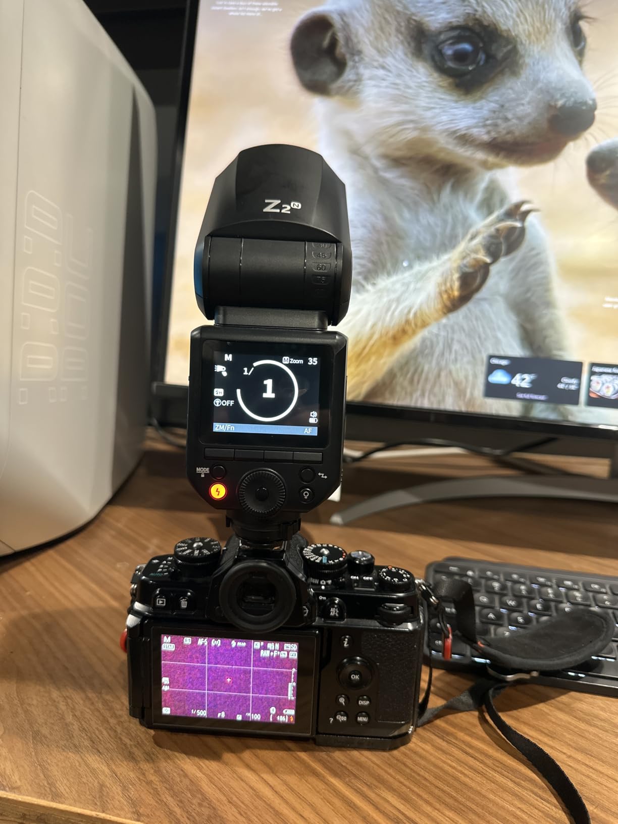 NEEWER Z2-S 2.4G TTL Round Head Flash Speedlite for Sony, 76Ws 1/8000s HSS, 3000mAh/600 Full Power, Godox-compatible customer photo 1