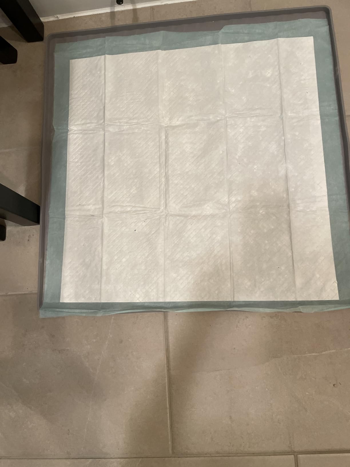 Pee Pad Holder for Dogs,Silicone Dog Puppy Pad Holder, 24 x 24 No Spill Raised Lip High Edge,Portable, Leak-Proof Mat Holder for Dog Training Pads,Square Potty Trays for Home Floor Protection customer photo 2