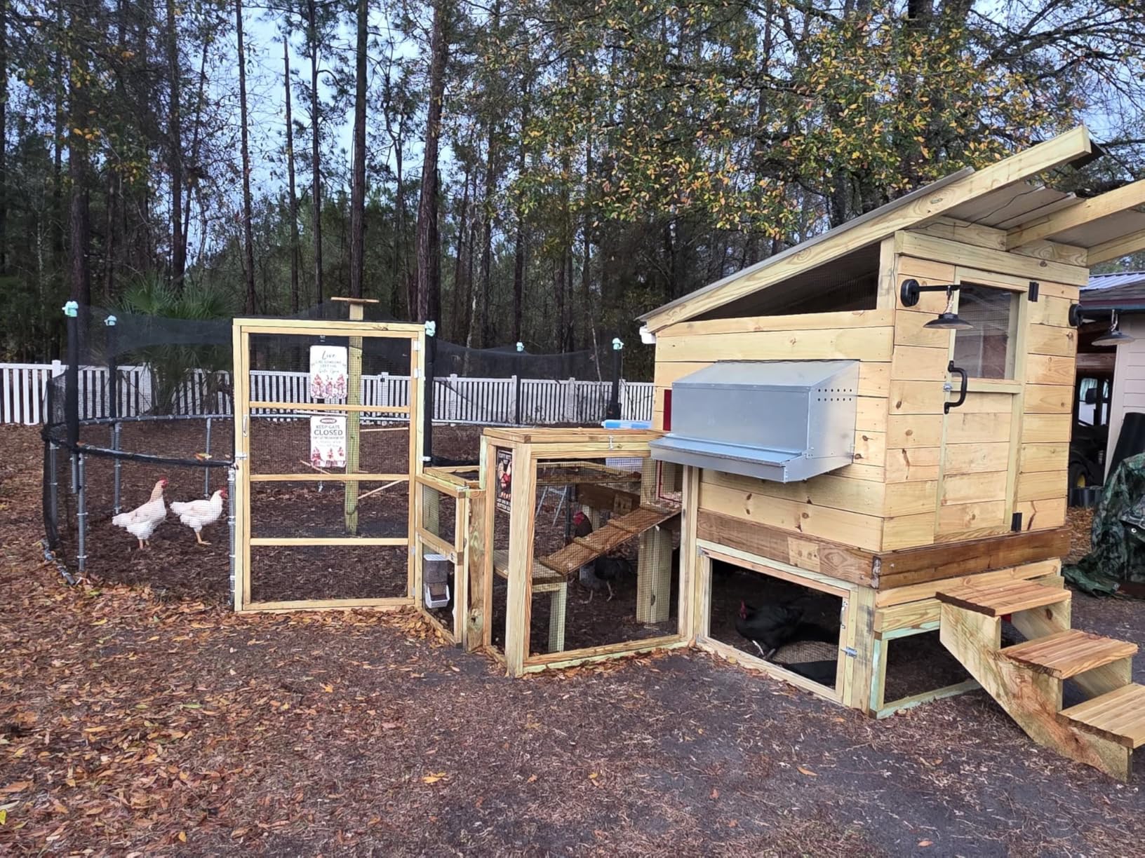 Hen's Choice™ - Reversible Roll Out Nest Box for Chickens | Roll Away Nest Box | 2 Compartment 21