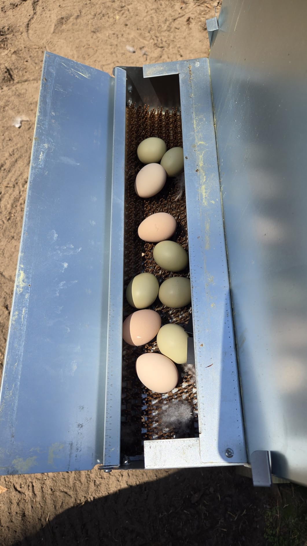 Hen's Choice™ - Reversible Roll Out Nest Box for Chickens | Roll Away Nest Box | 2 Compartment 21