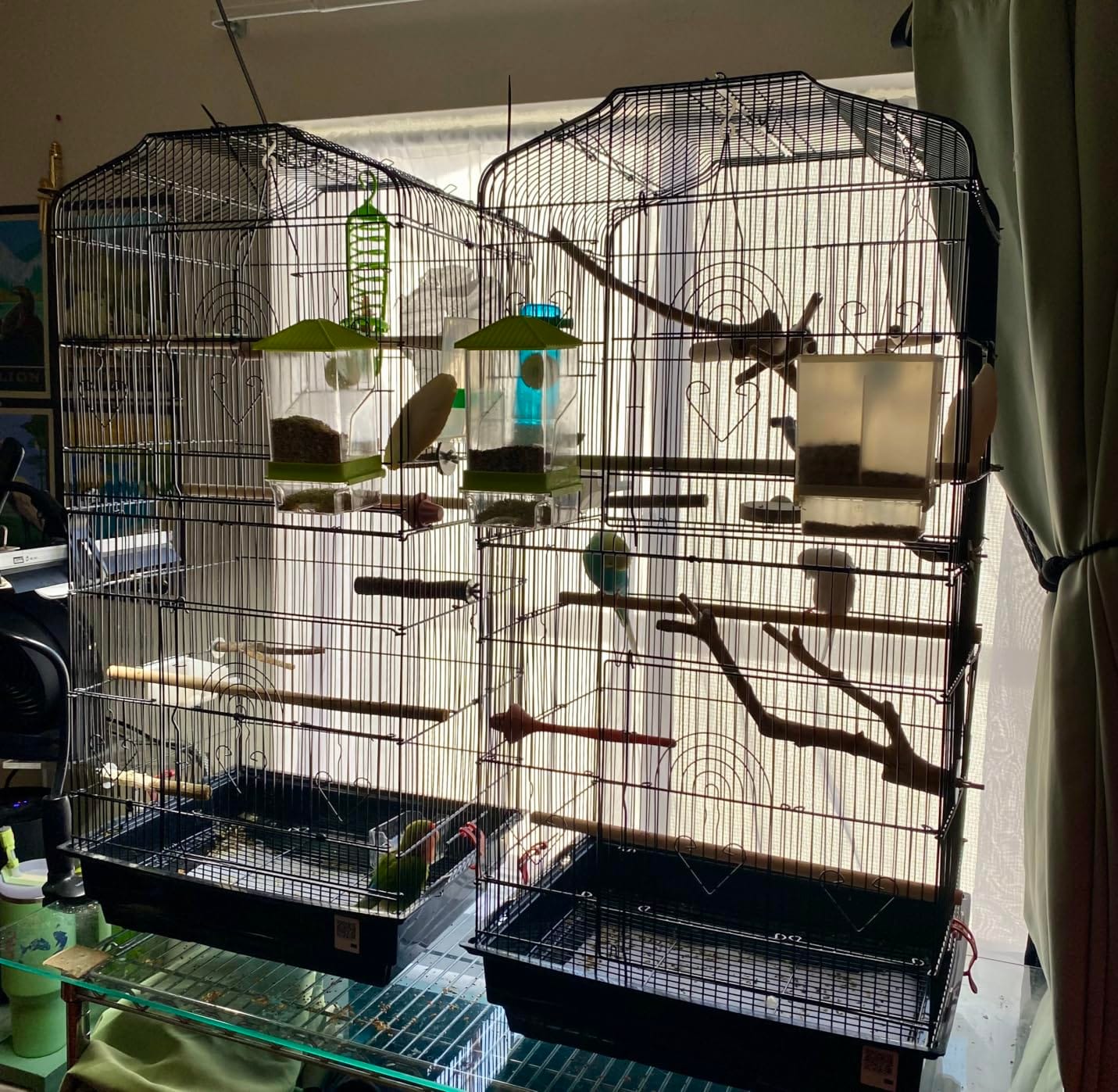 VEVOR 64-inch Open Top Large Parrot Bird Cage with Detachable Rolling Stand for Parakeets Finches Canaries Lovebirds Cockatiels Budgies Small Quaker Conures Flight Birdcage with Swing and Perch customer photo 1